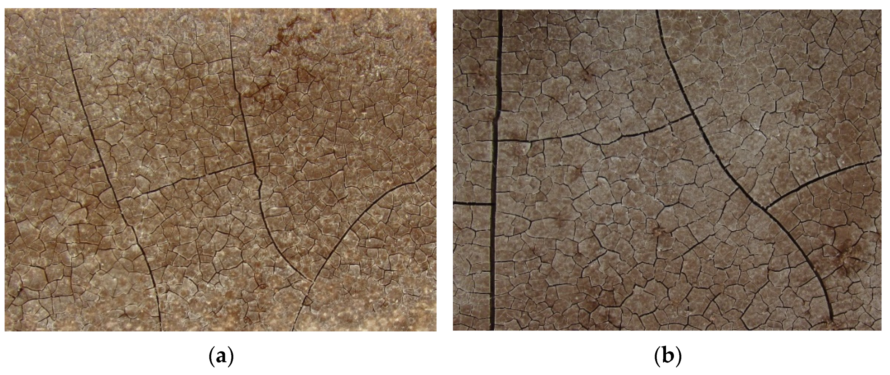 Materials 15 01896 g005