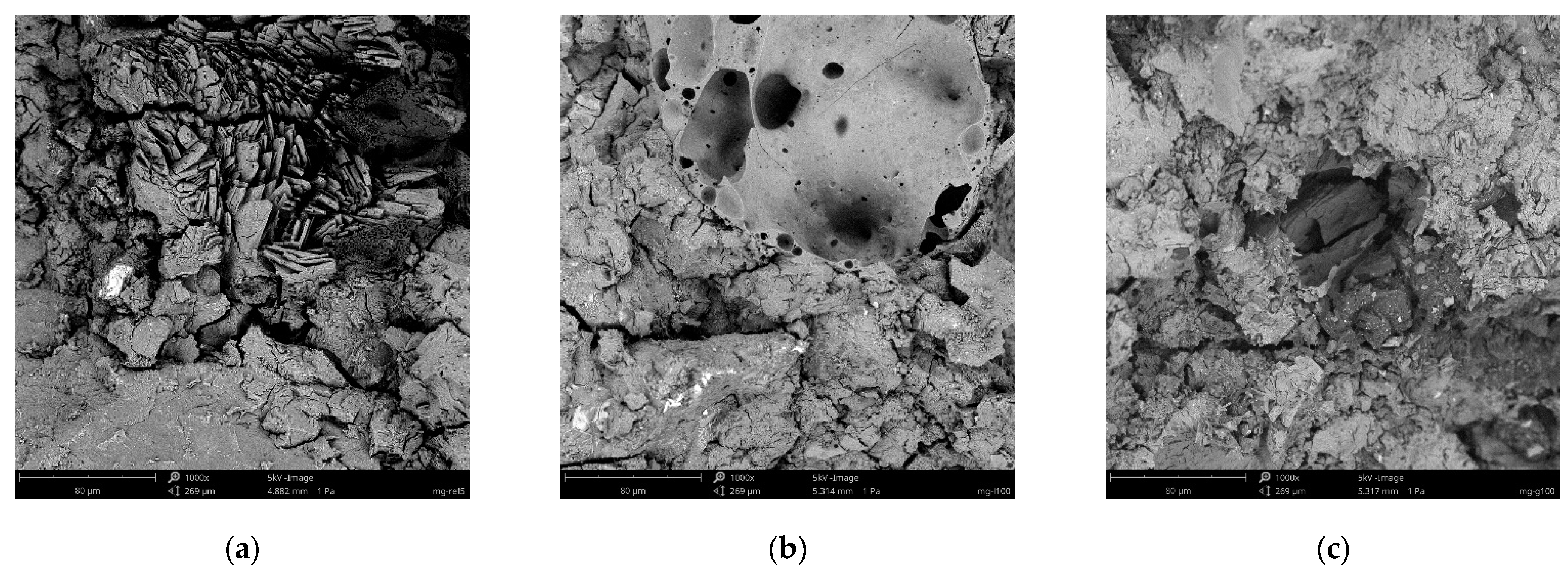 Materials 15 01896 g006