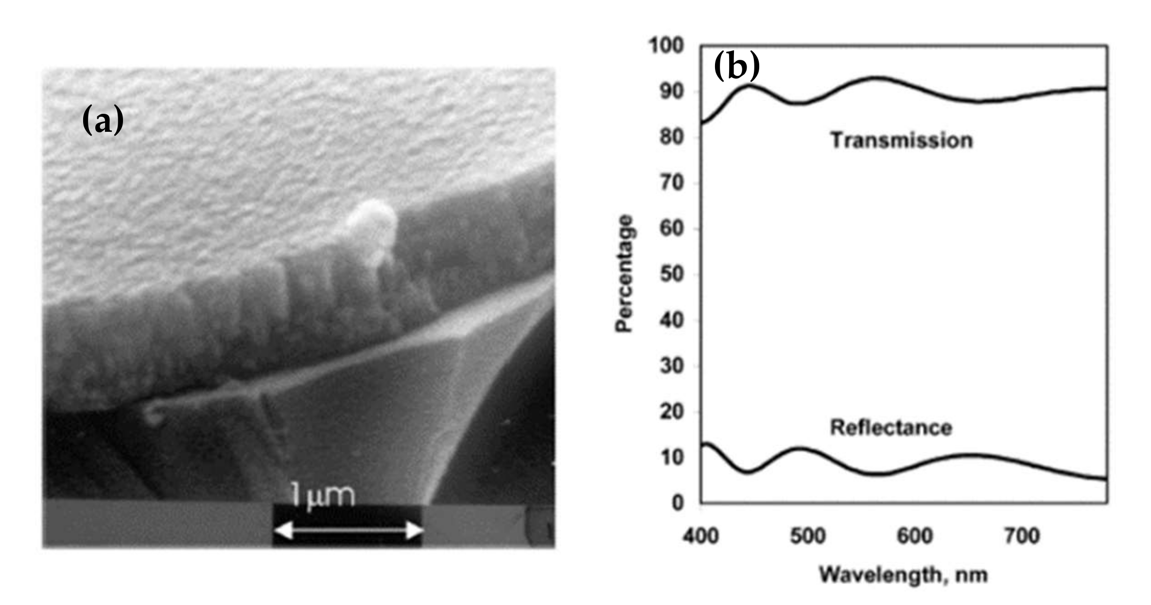 Materials 15 01908 g017