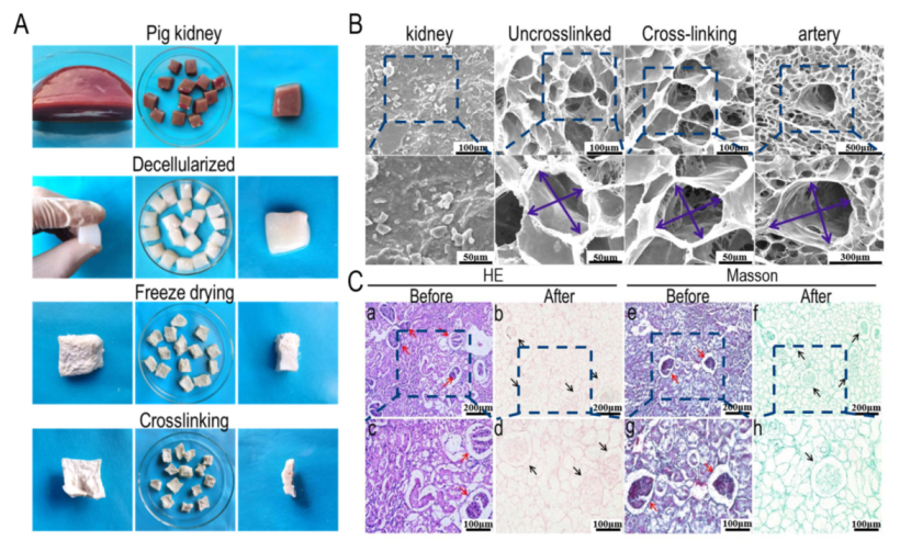 Materials 15 01935 g001