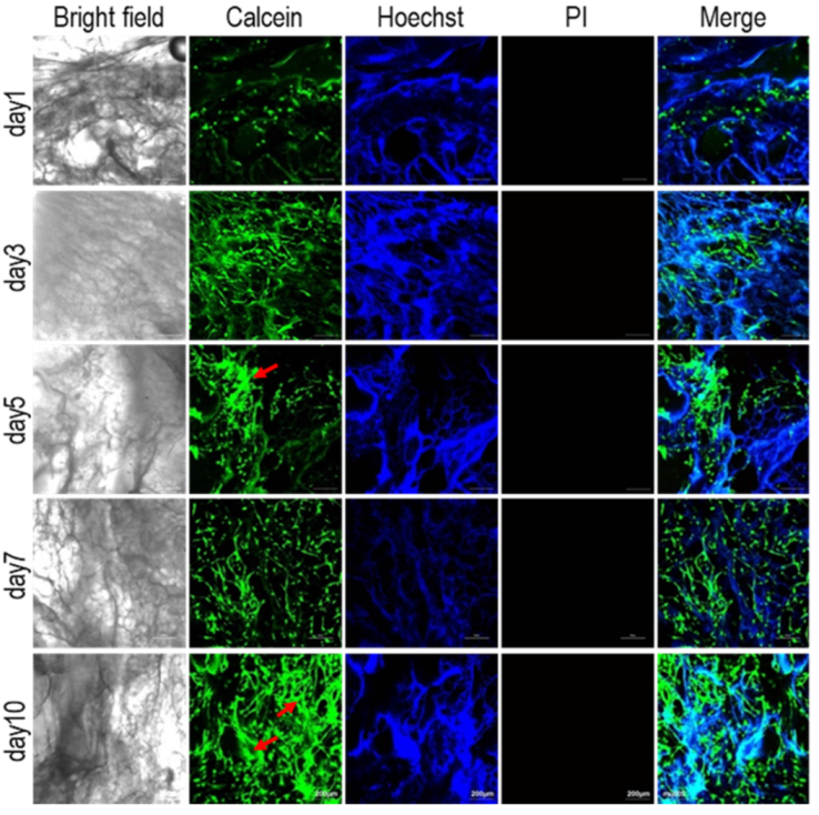 Materials 15 01935 g004