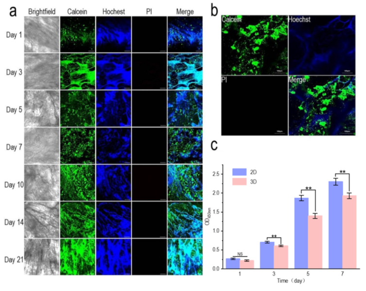 Materials 15 01935 g005