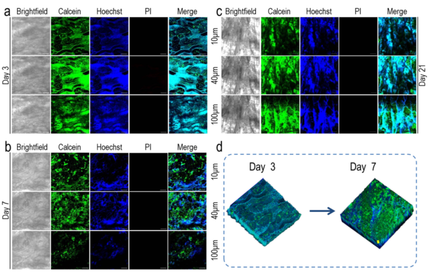 Materials 15 01935 g006