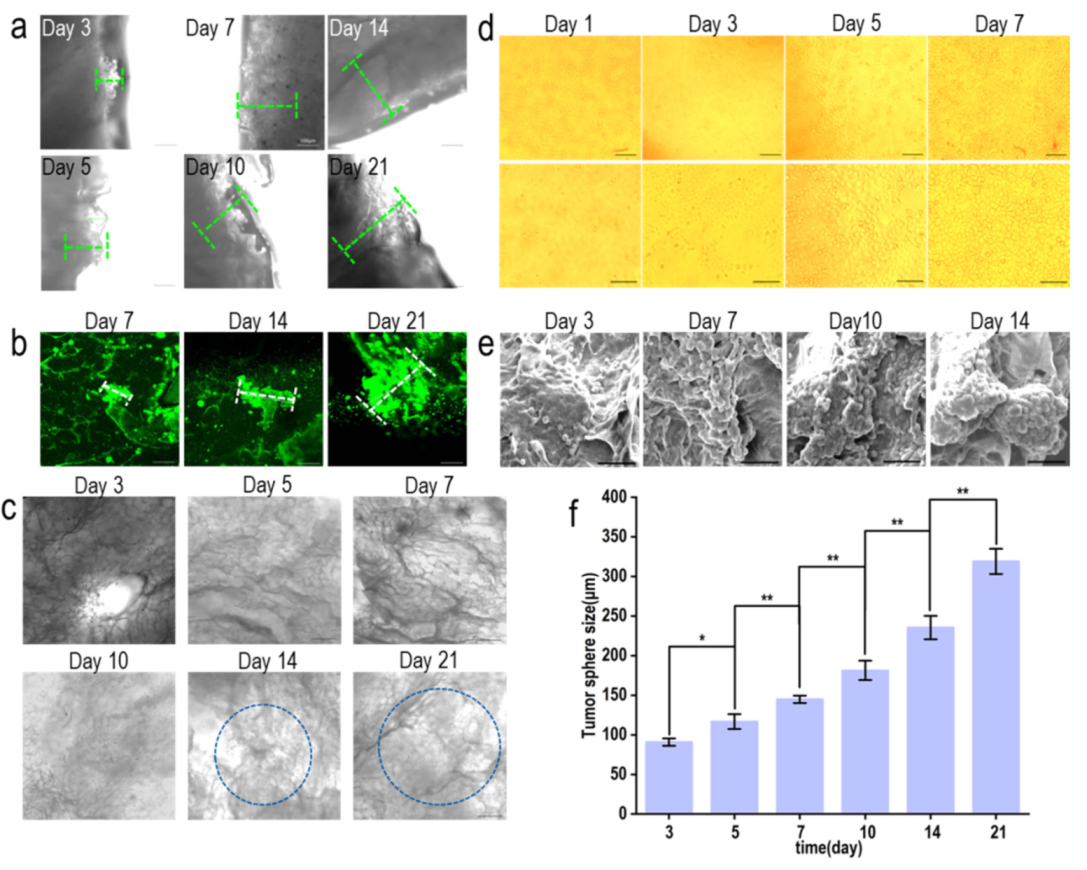 Materials 15 01935 g007