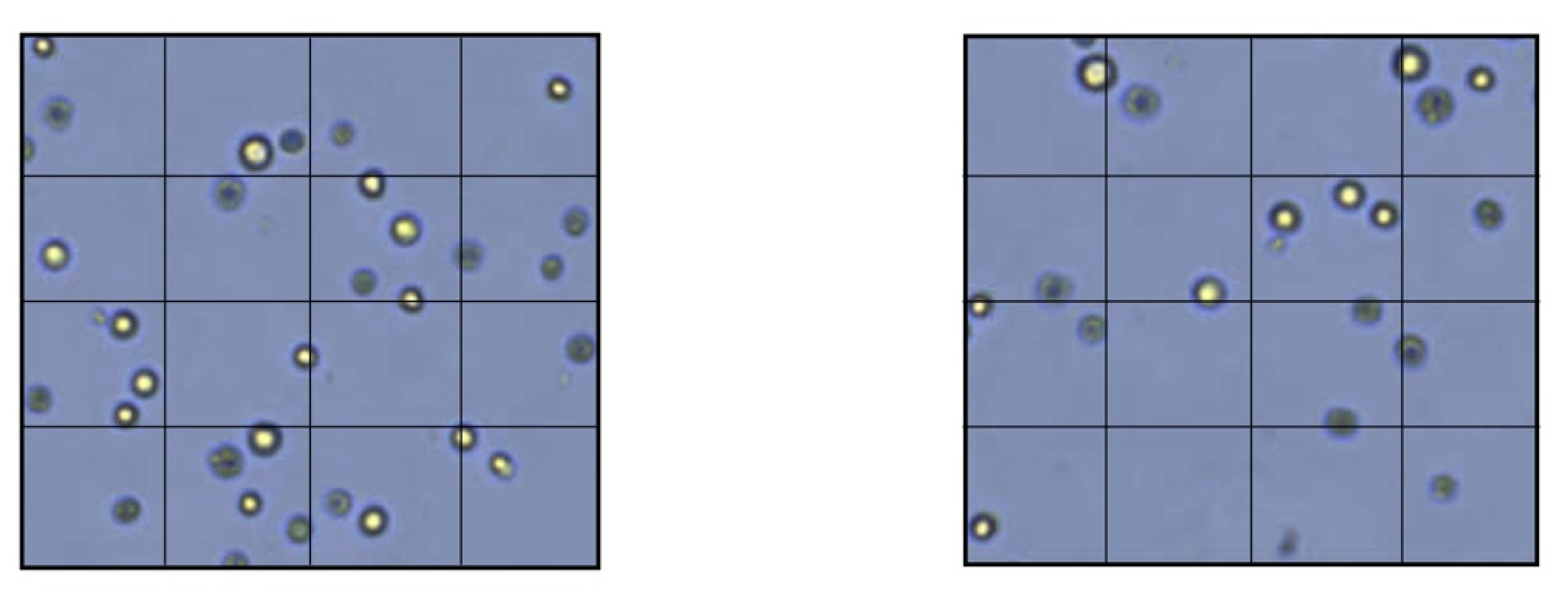 Materials 15 01937 g003