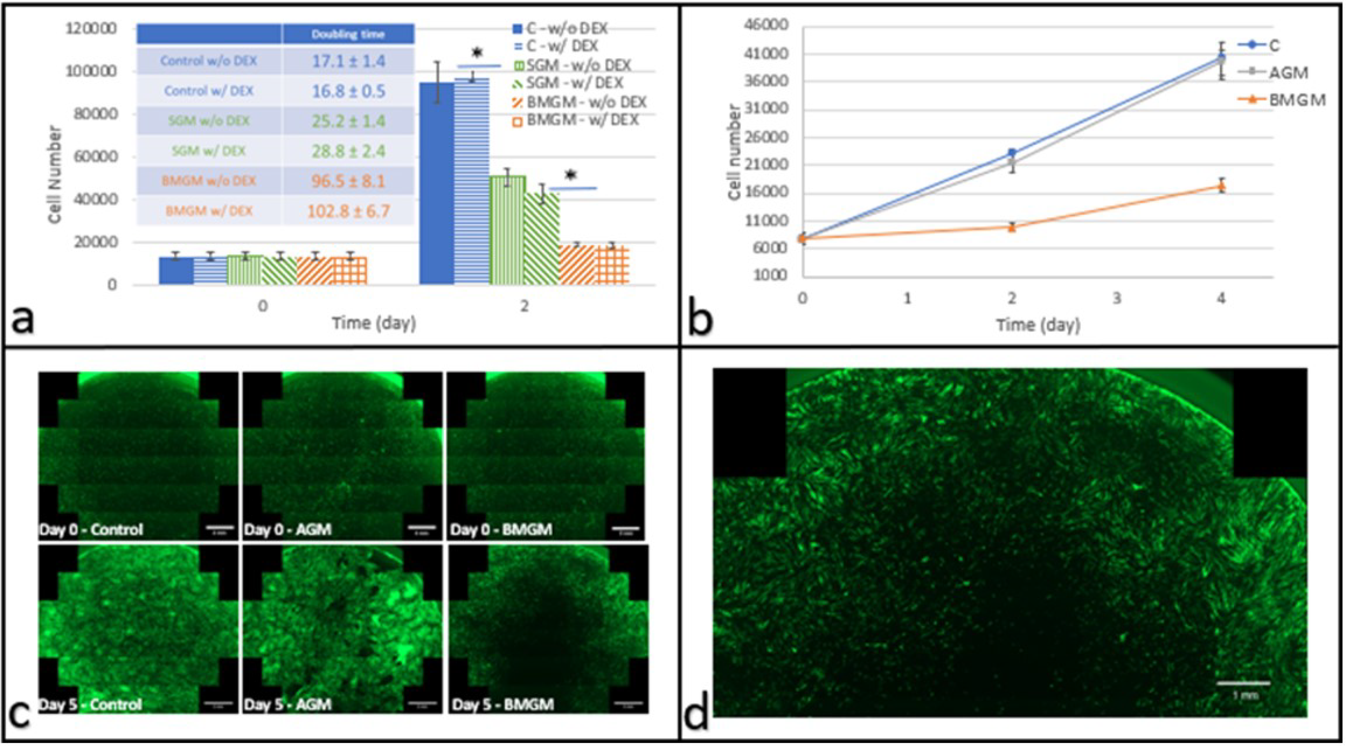 Materials 15 01955 g002