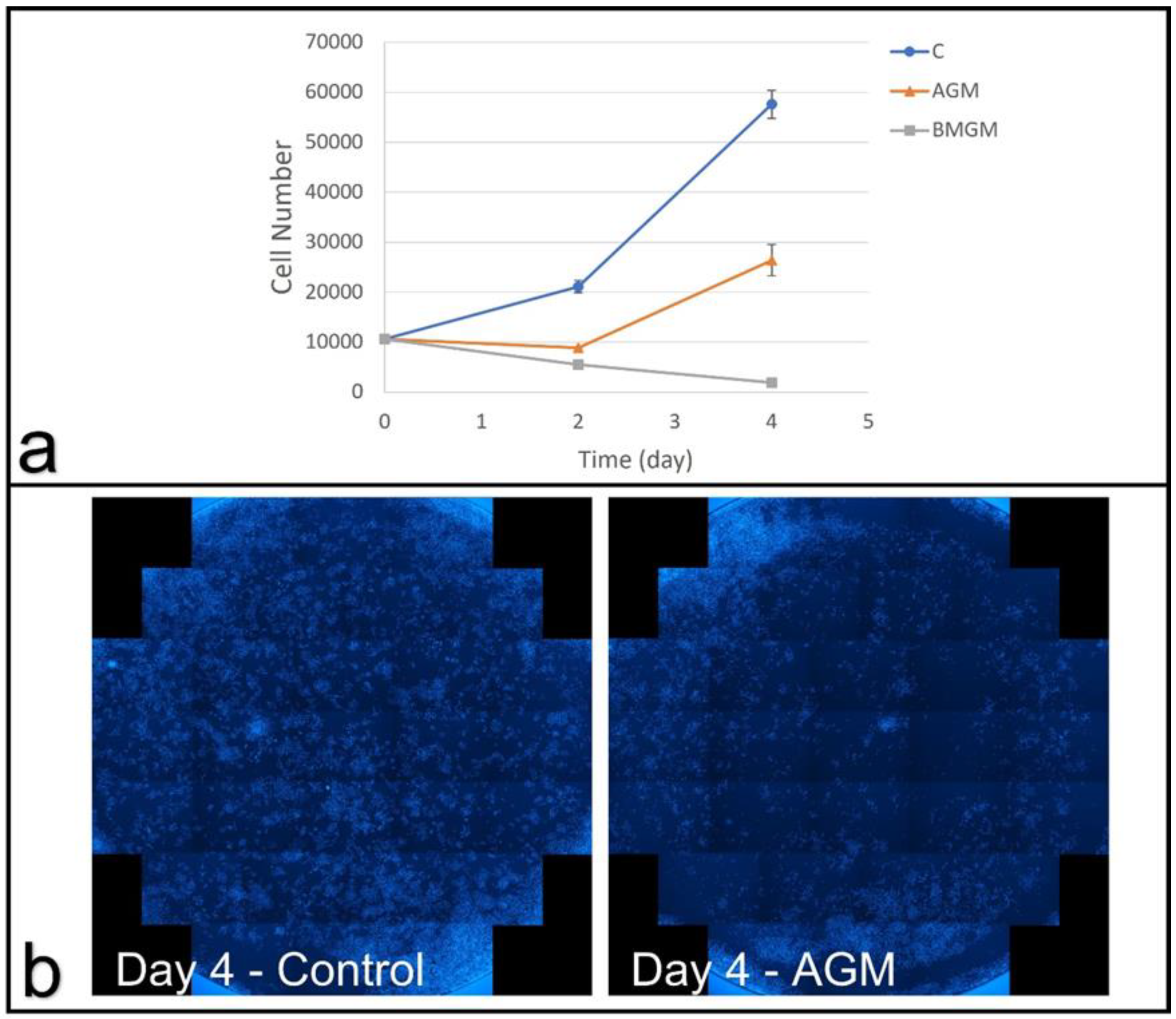 Materials 15 01955 g003