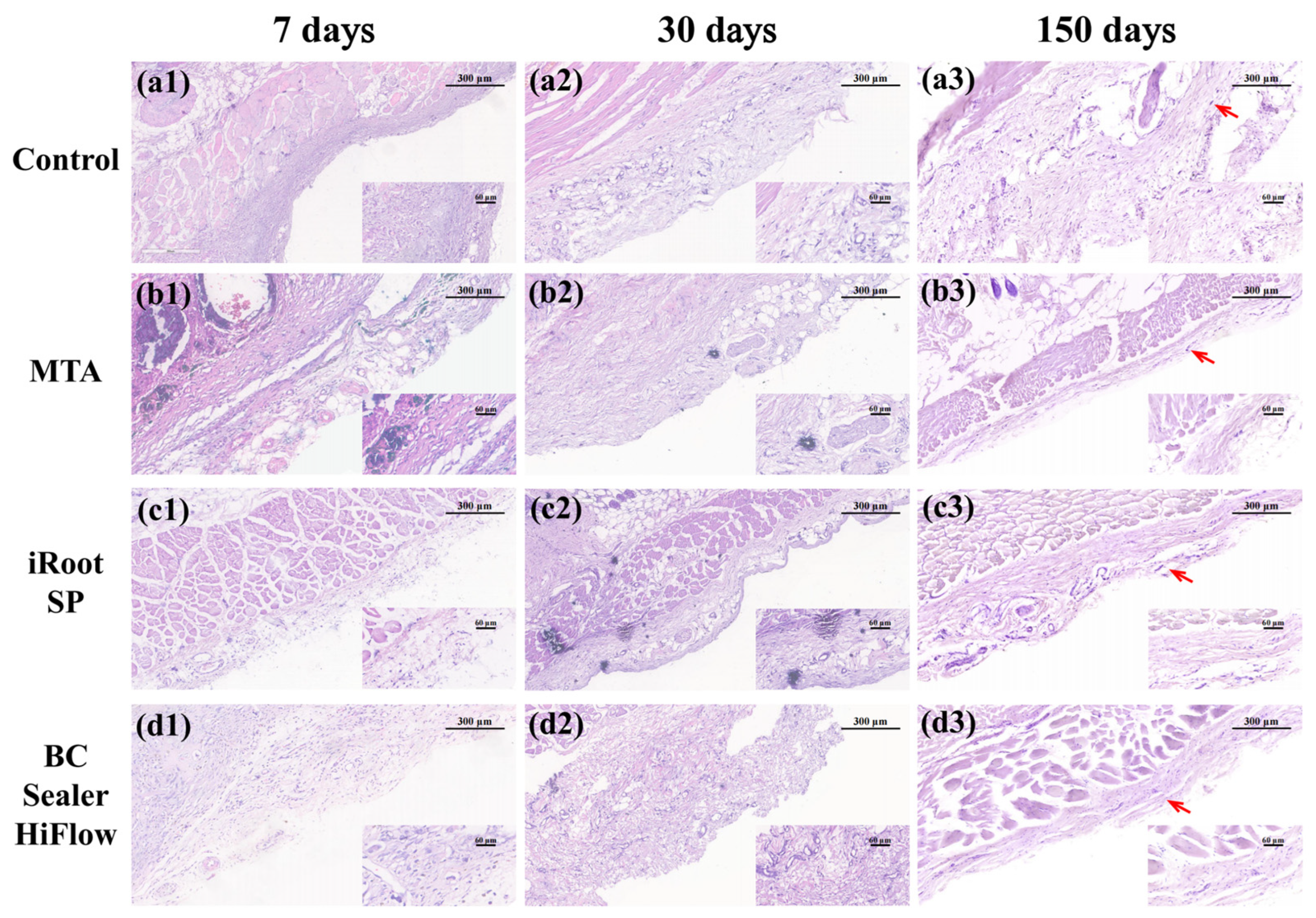 Materials 15 01962 g003