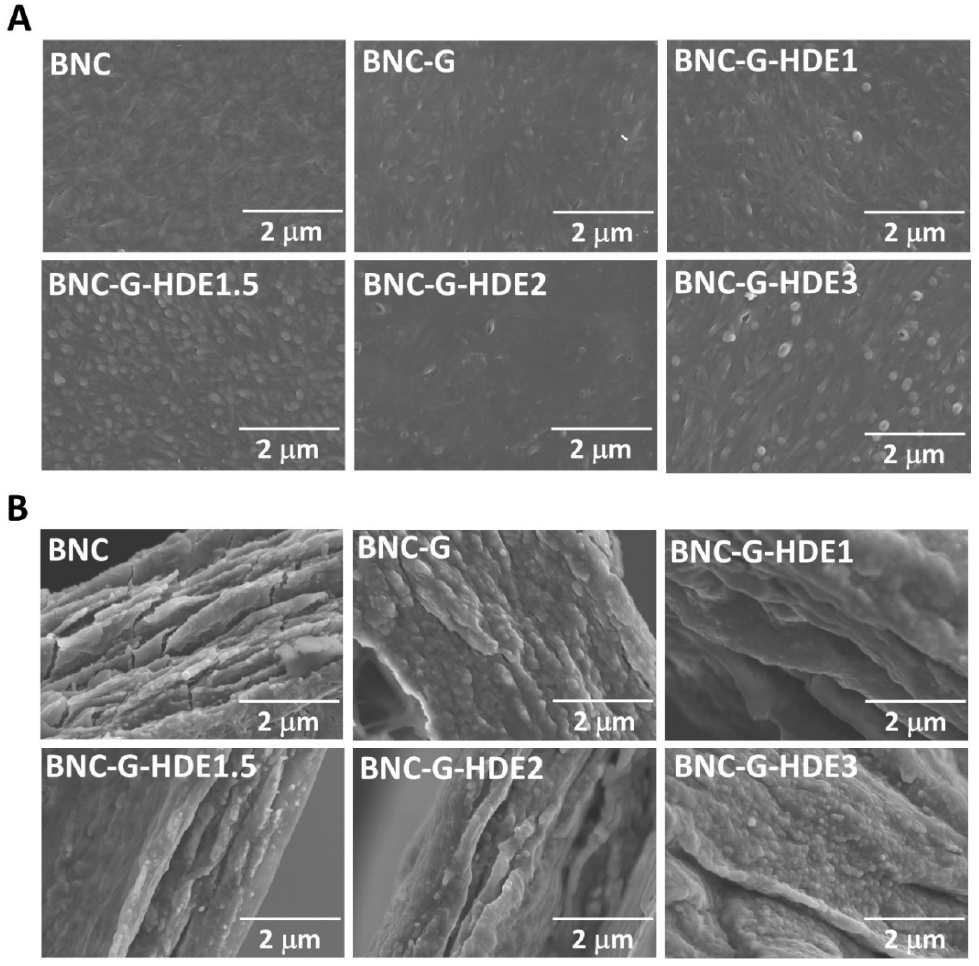 Materials 15 01982 g002