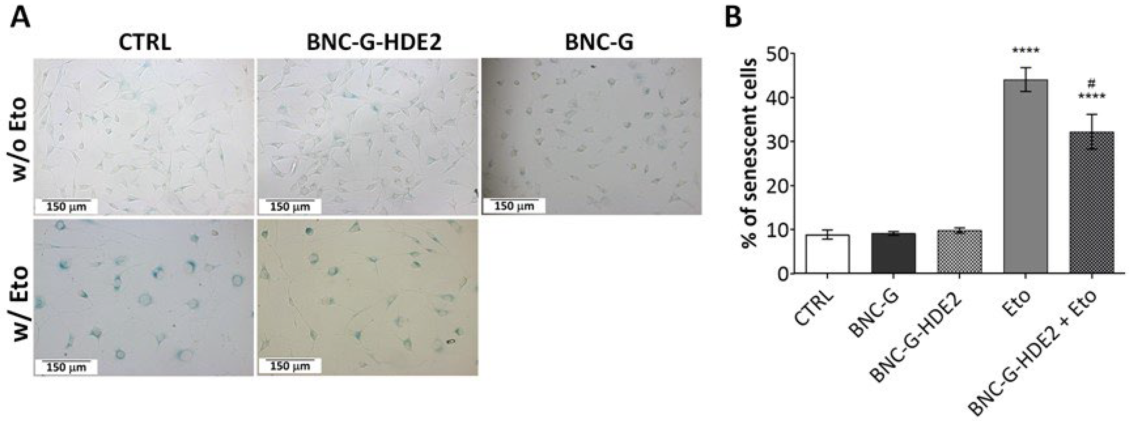 Materials 15 01982 g010