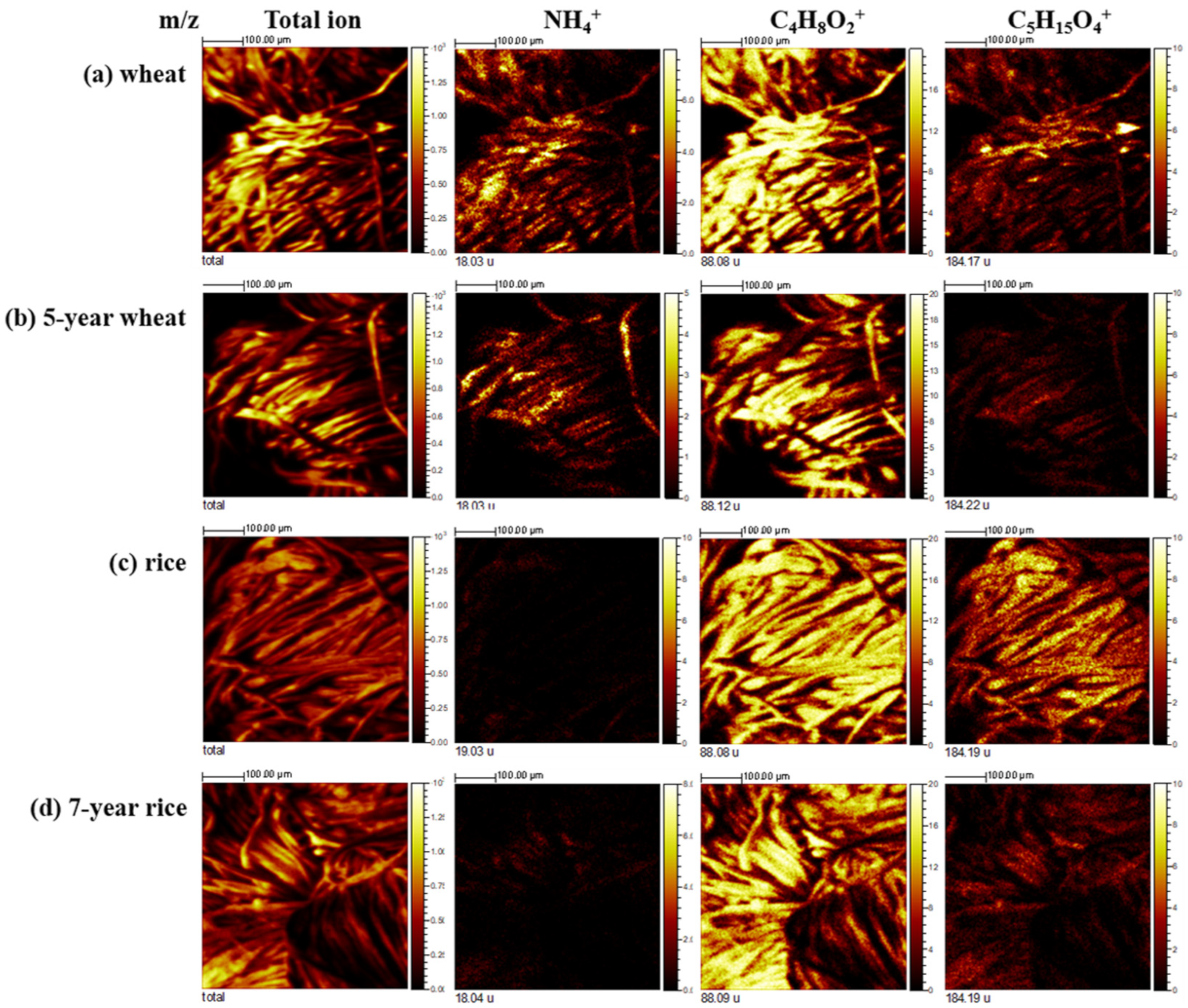 Materials 15 02001 g007