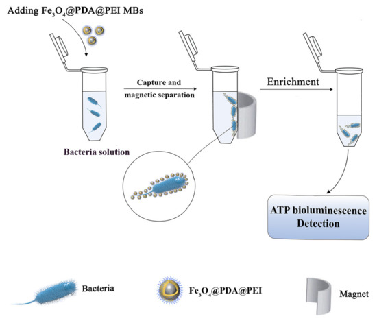 Materials 15 02039 g002 550