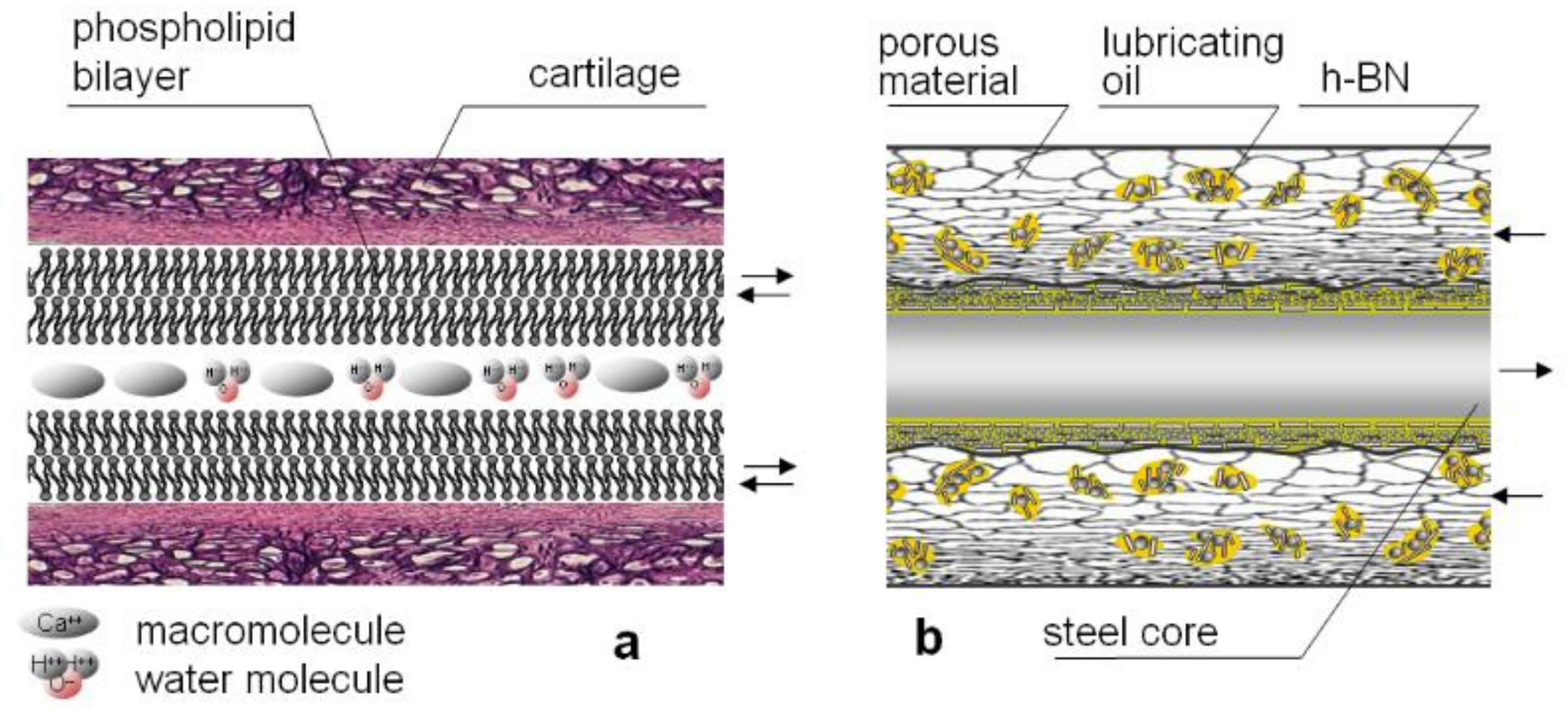 Materials 15 02052 g001