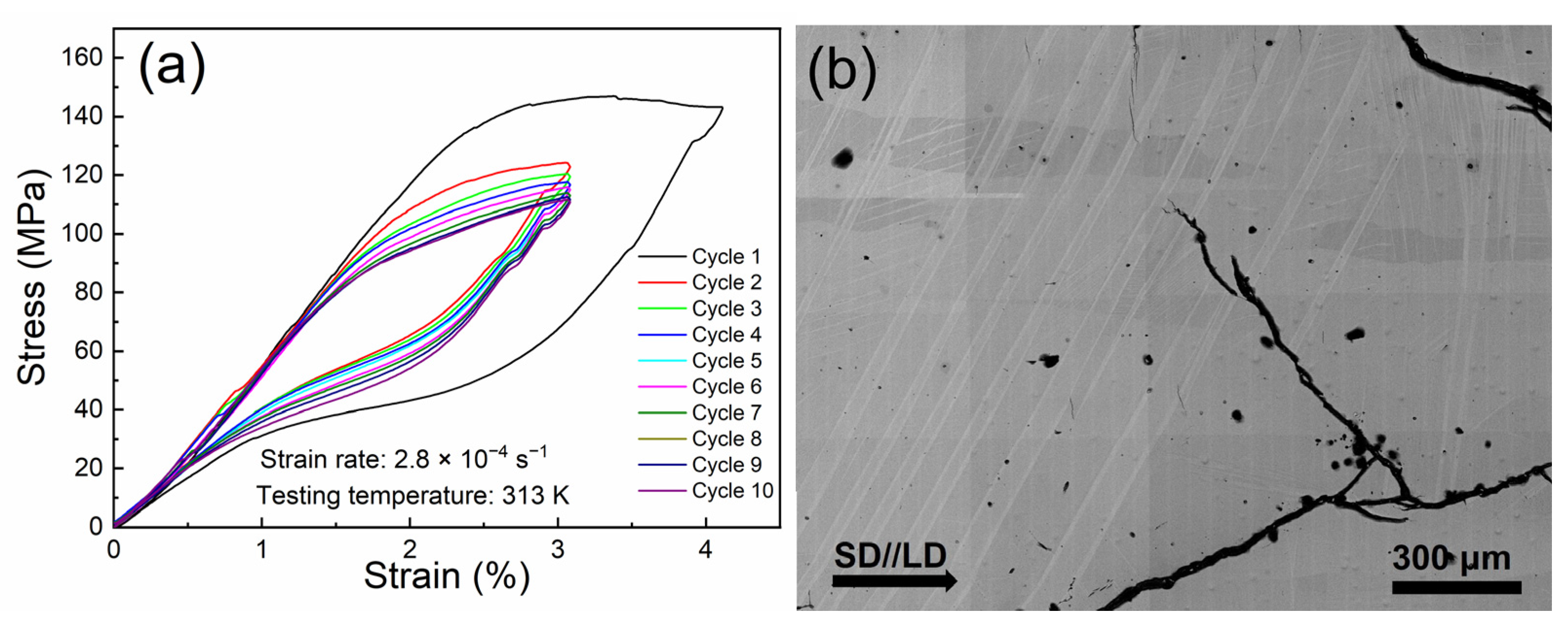 Materials 15 02072 g005