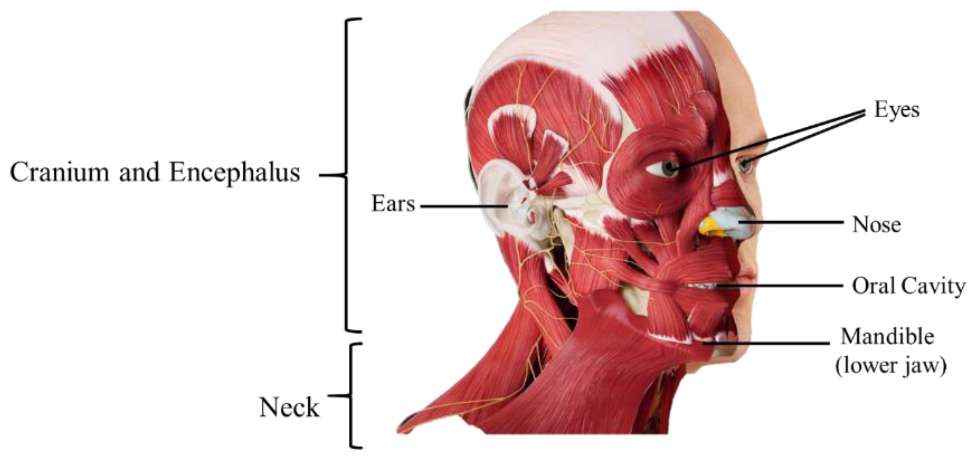 Materials 15 02086 g001 Materials 15 02086 g001