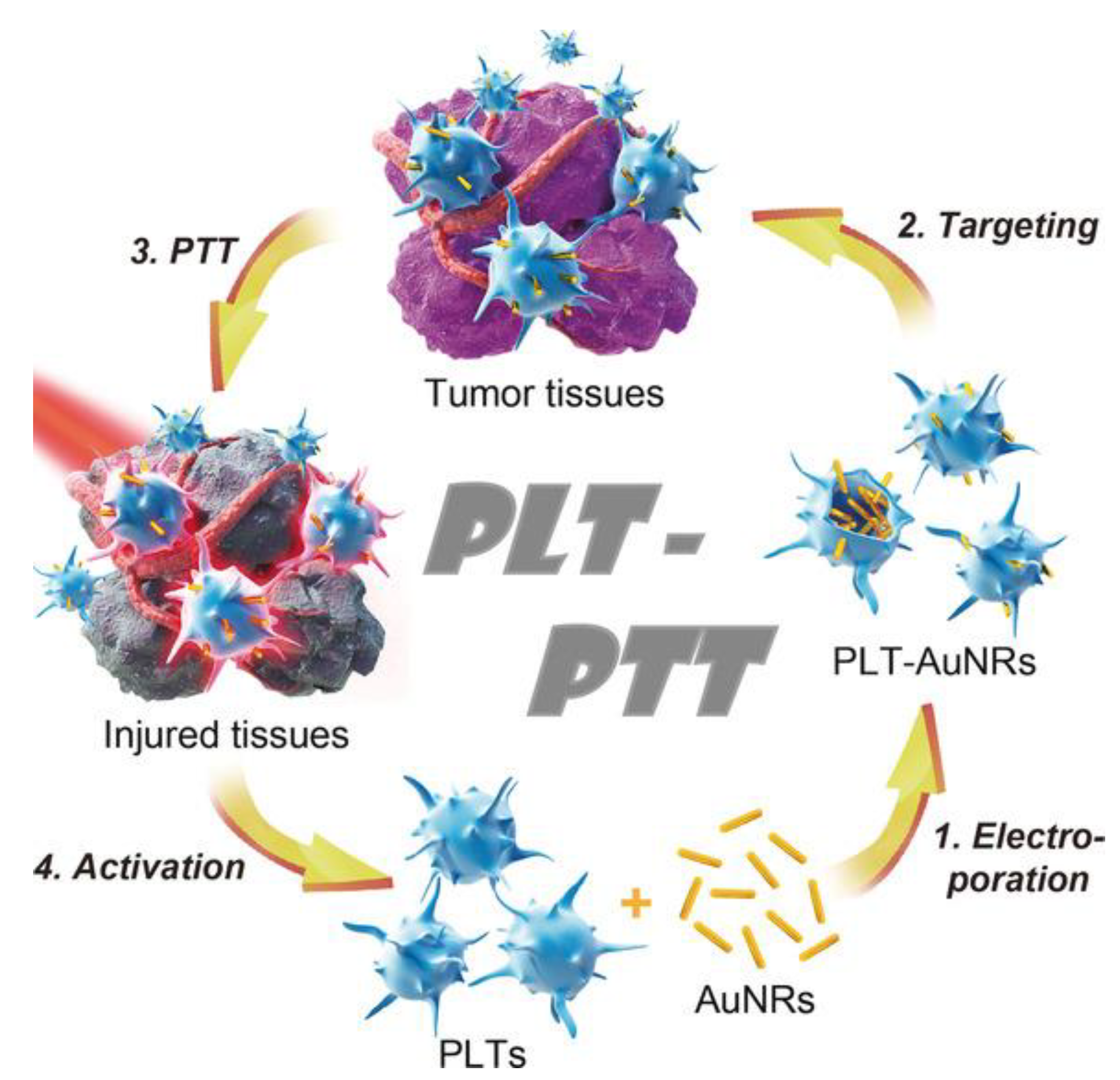 Materials 15 02086 g008 Materials 15 02086 g008