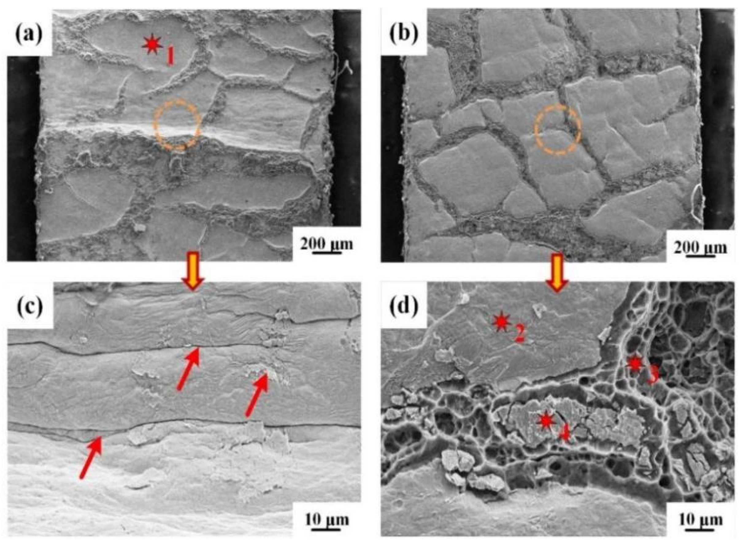 Materials 15 02119 g008