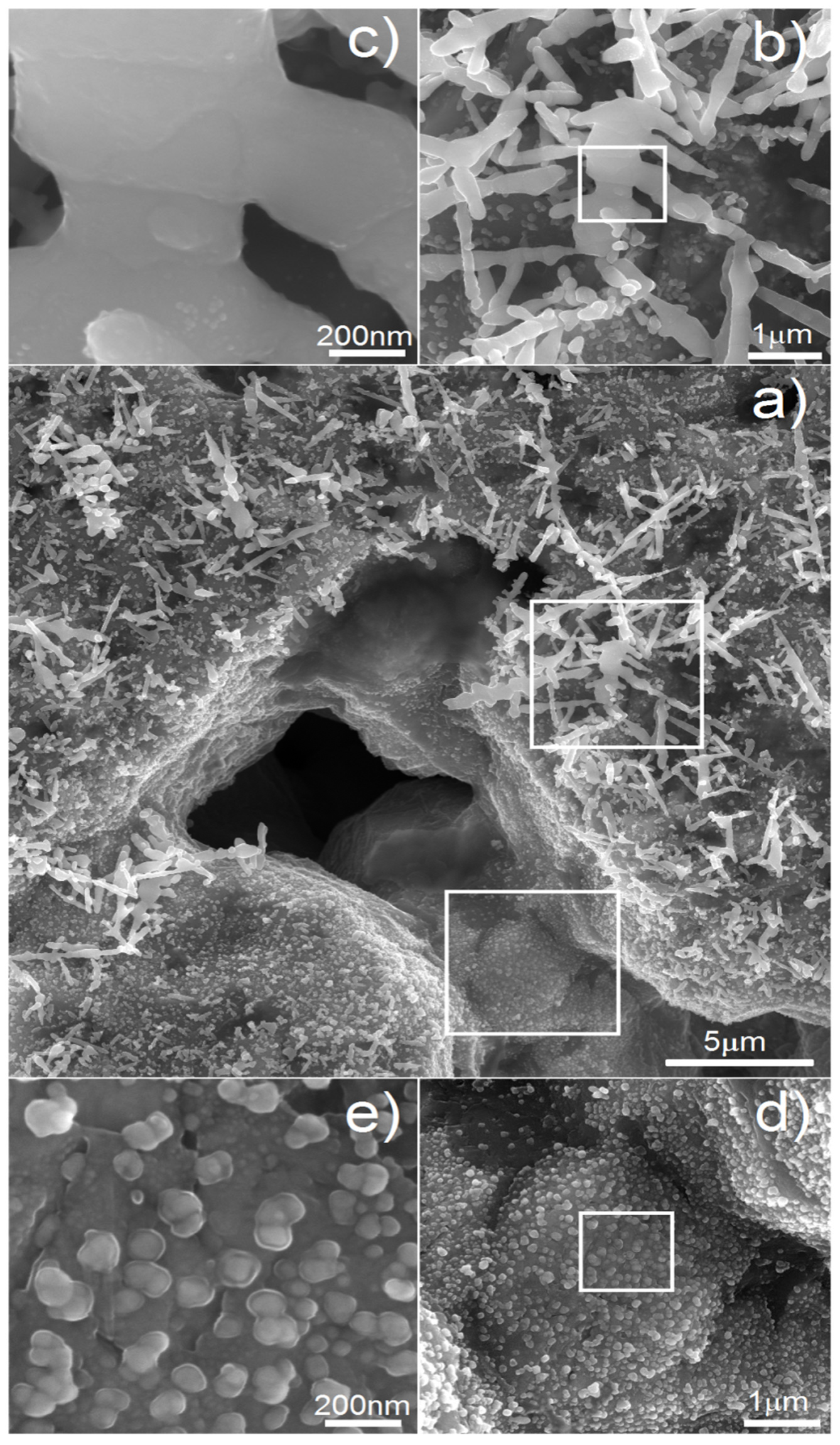 Materials 15 02130 g007