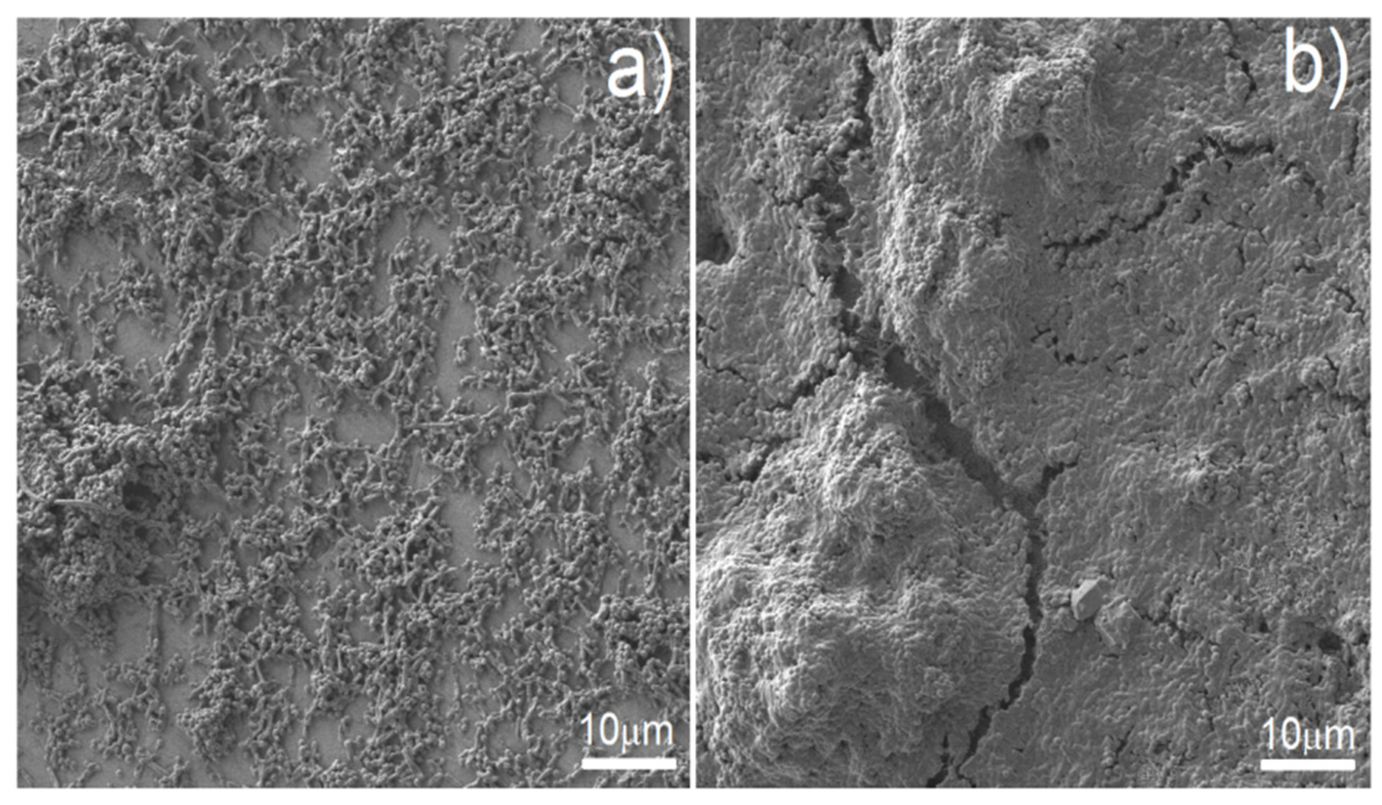 Materials 15 02130 g011