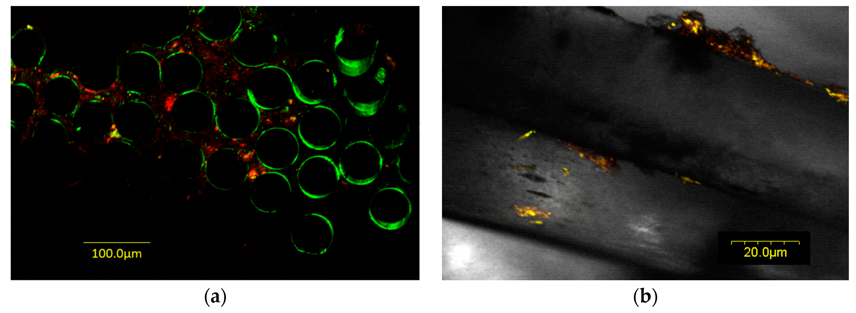 Materials 15 02139 g001