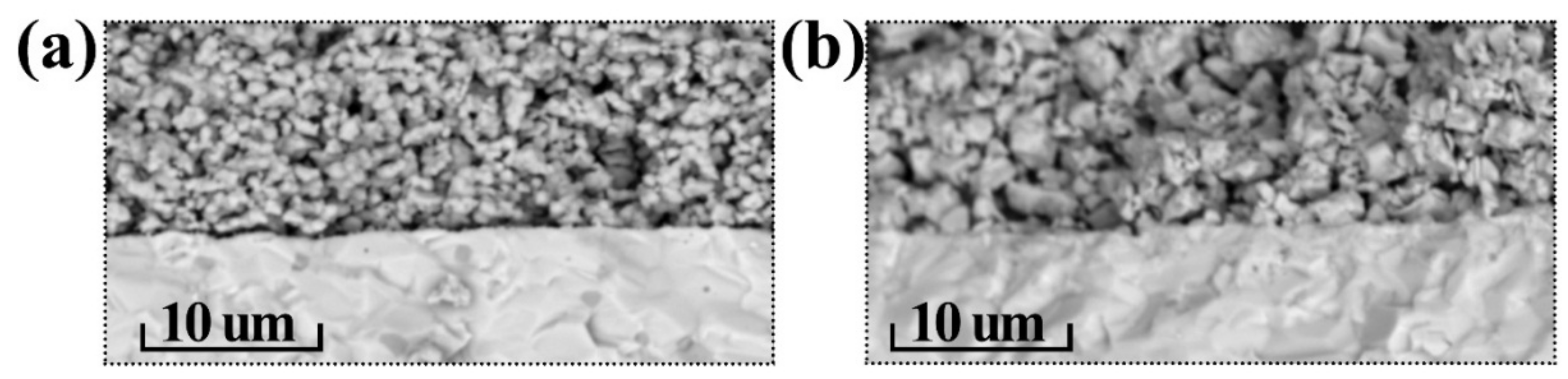 Materials 15 02166 g006