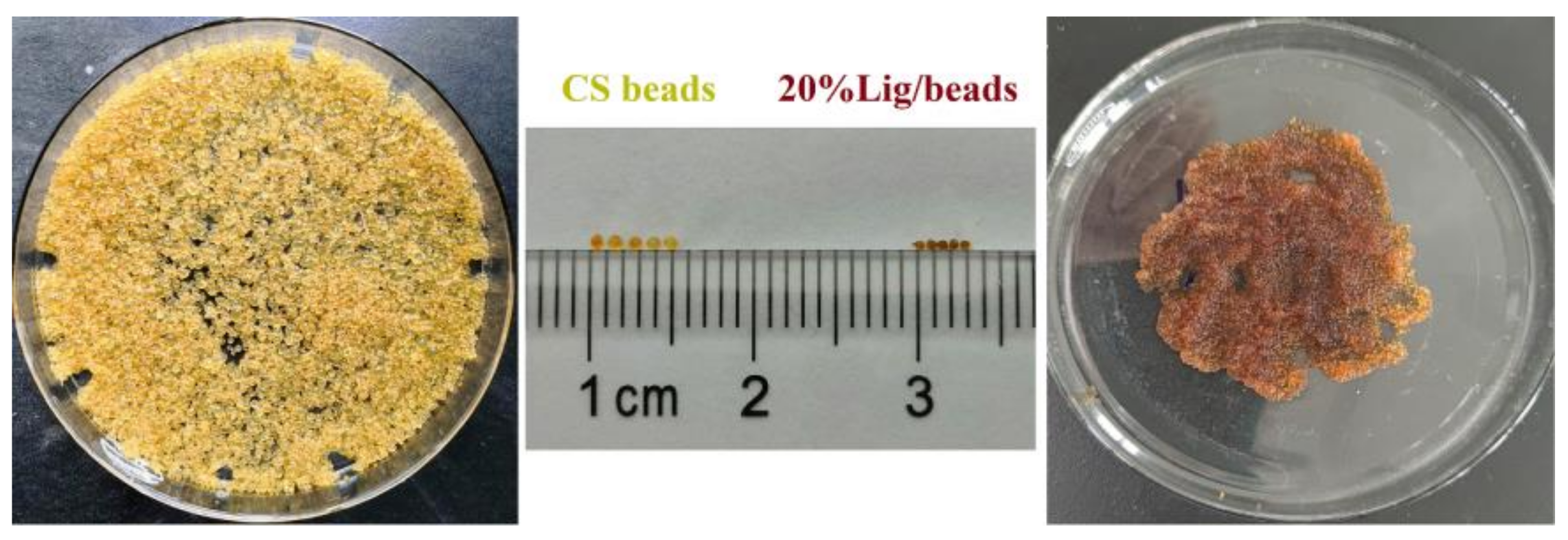 Materials 15 02310 g003