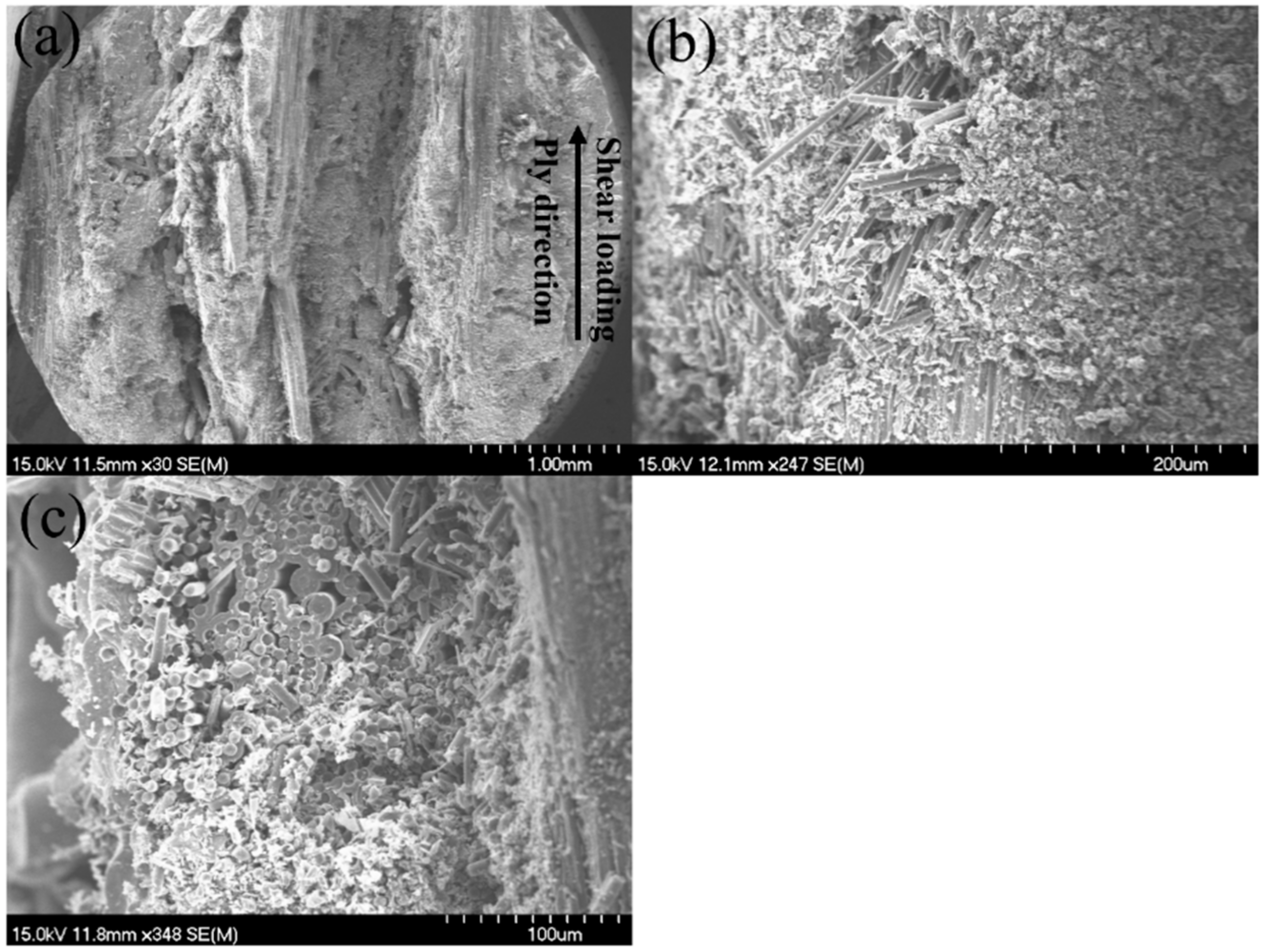 Materials 15 02338 g009 Materials 15 02338 g009