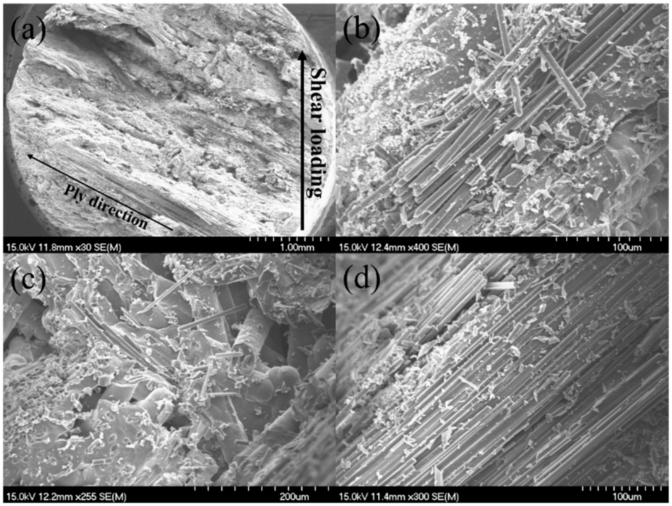 Materials 15 02338 g010 Materials 15 02338 g010