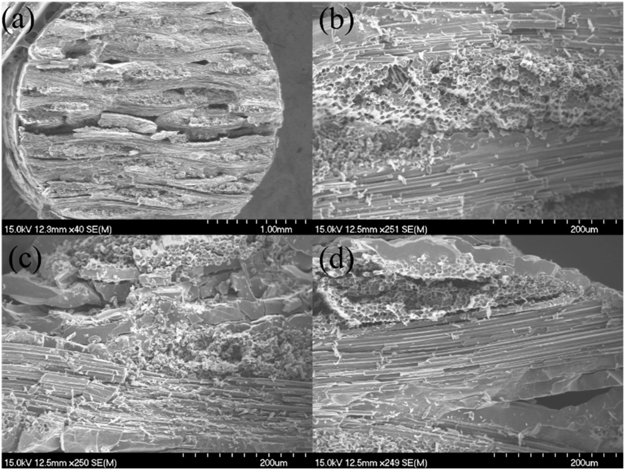 Materials 15 02338 g011 Materials 15 02338 g011