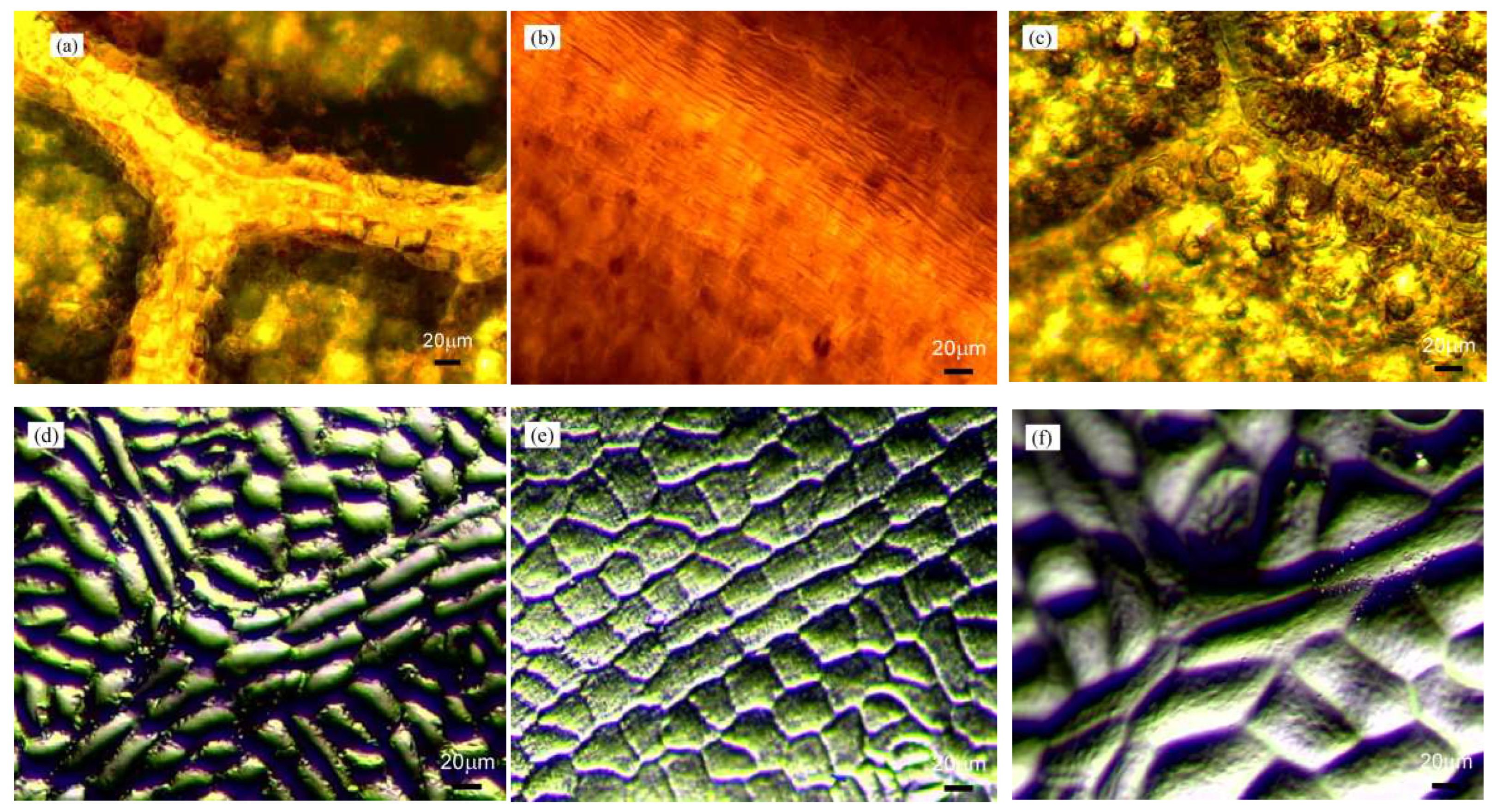 Materials 15 02353 g002