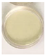 Materials 15 02370 i002 Materials 15 02370 i002