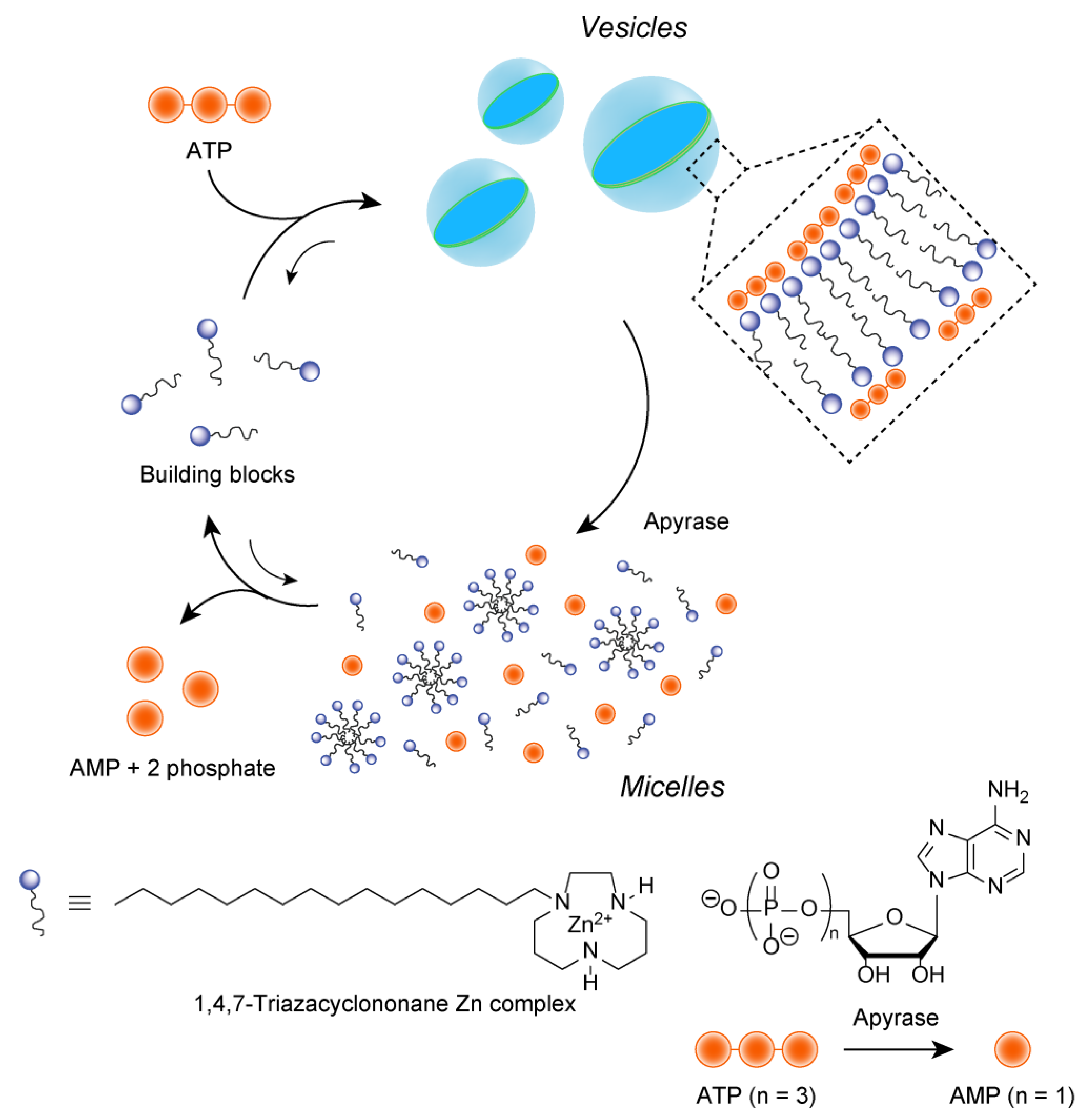 Materials 15 02391 g006