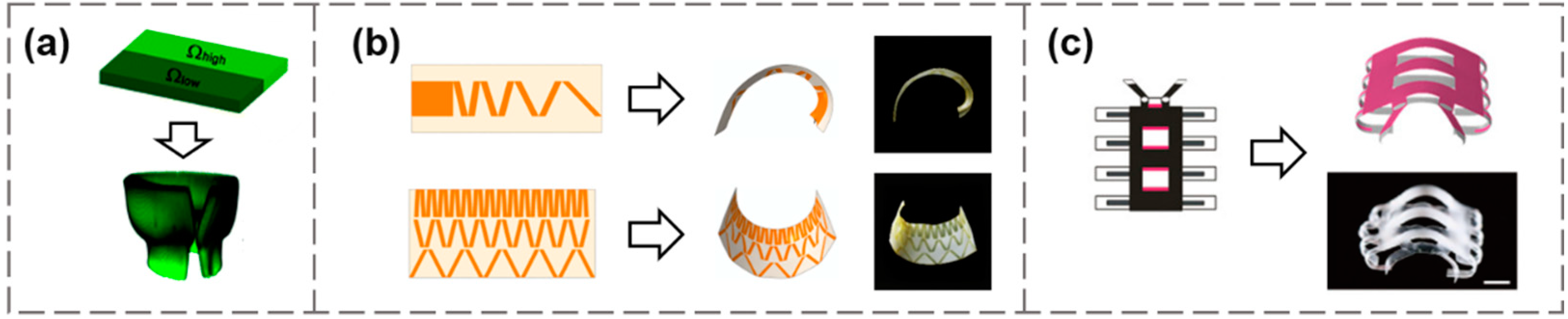 Materials 15 02397 g001