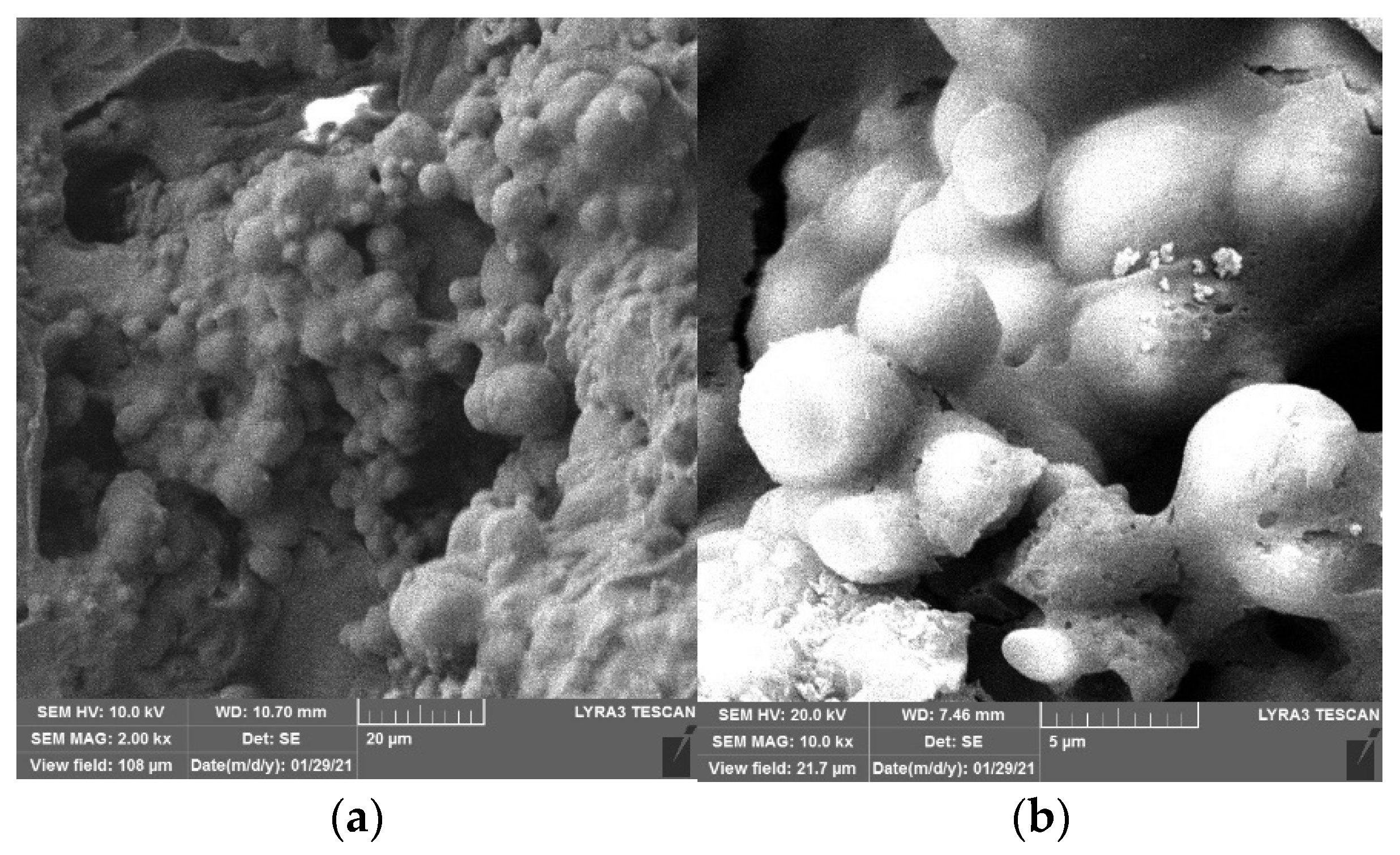 Materials 15 02436 g011