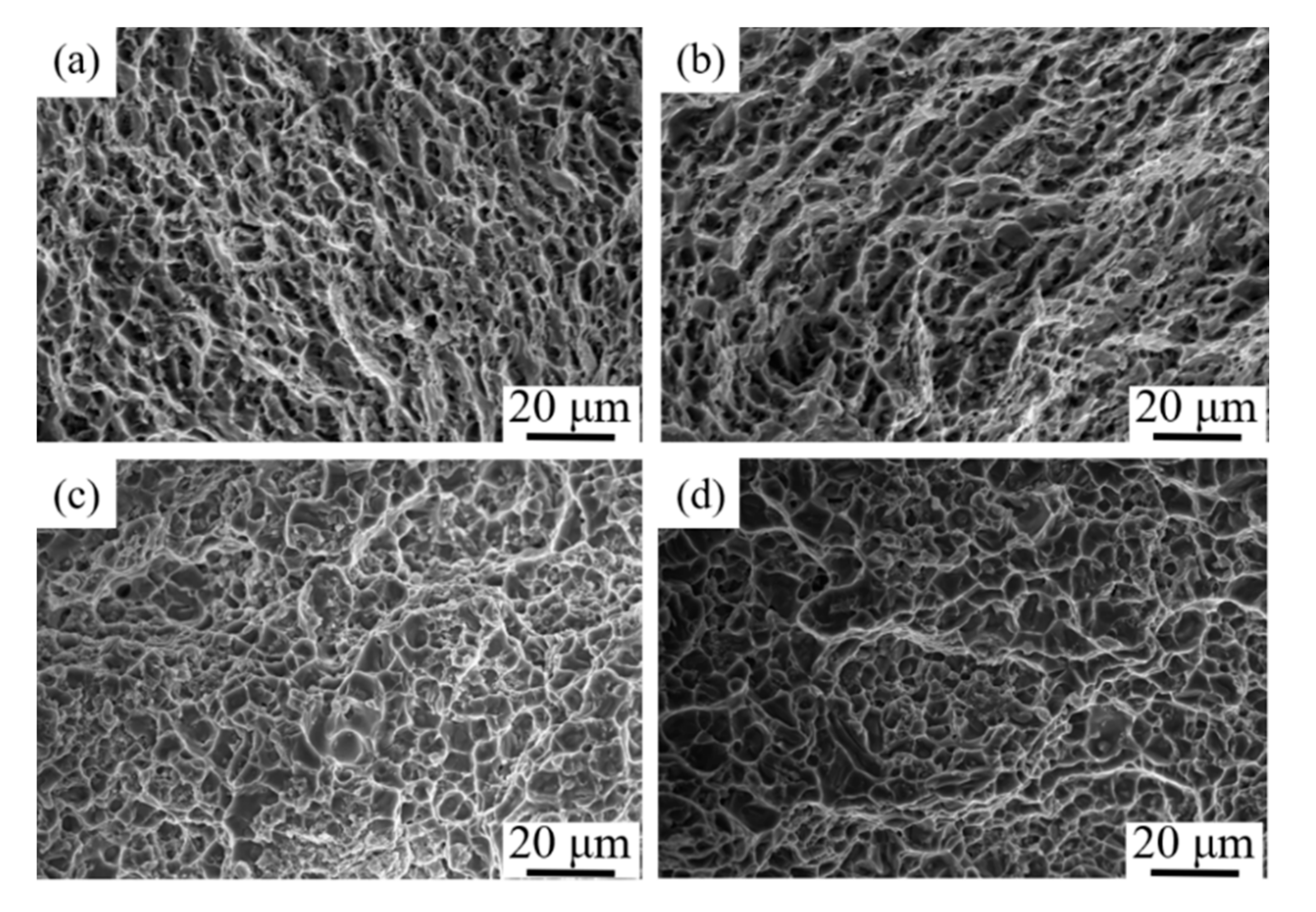 Materials 15 02440 g009