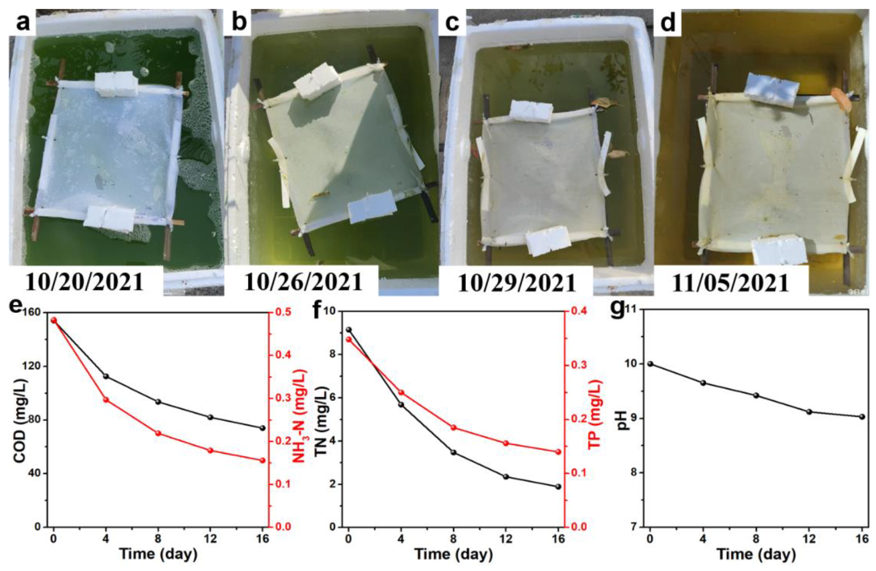 Materials 15 02466 g003