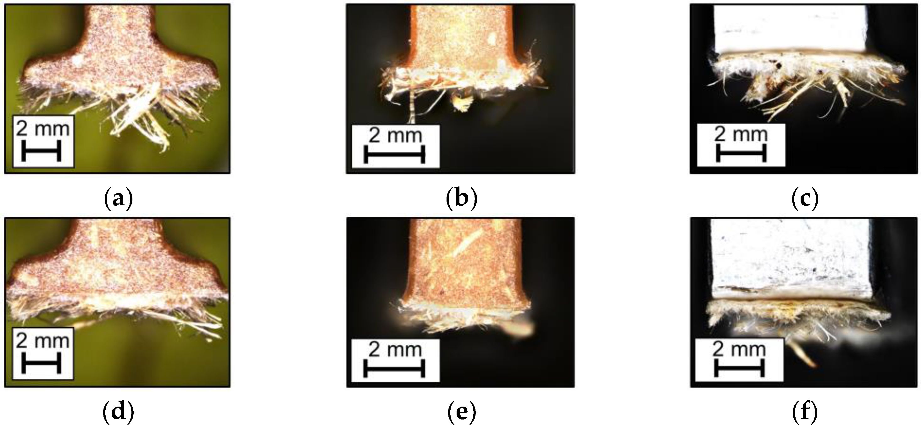 Materials 15 02473 g012