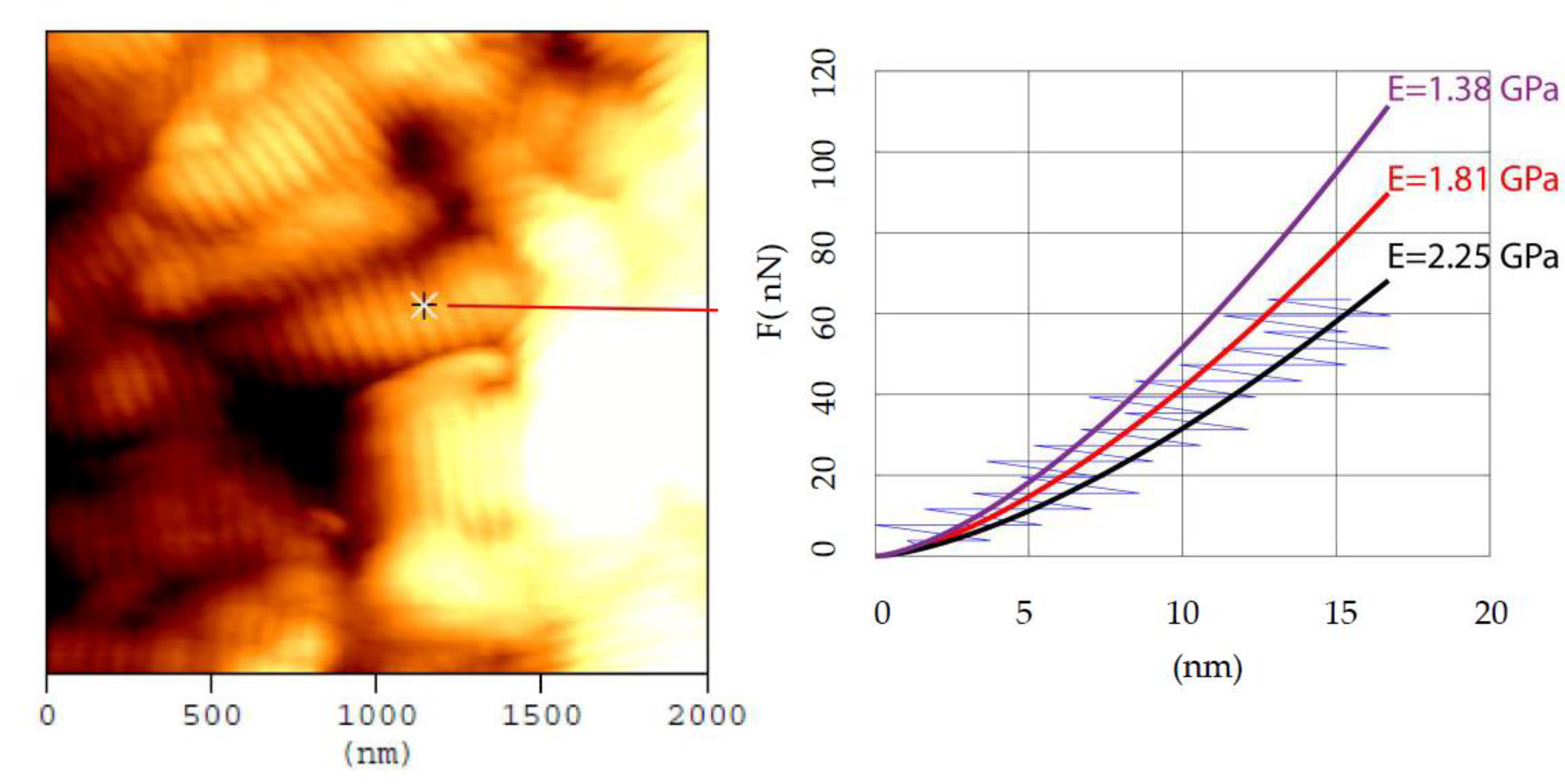 Materials 15 02477 g007