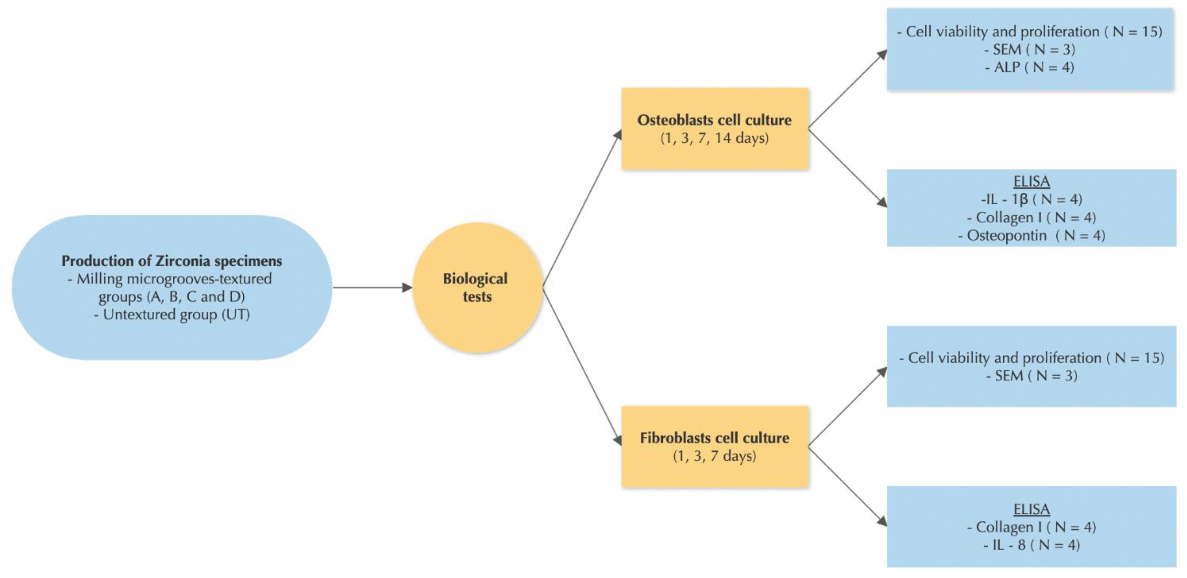 Materials 15 02481 g001