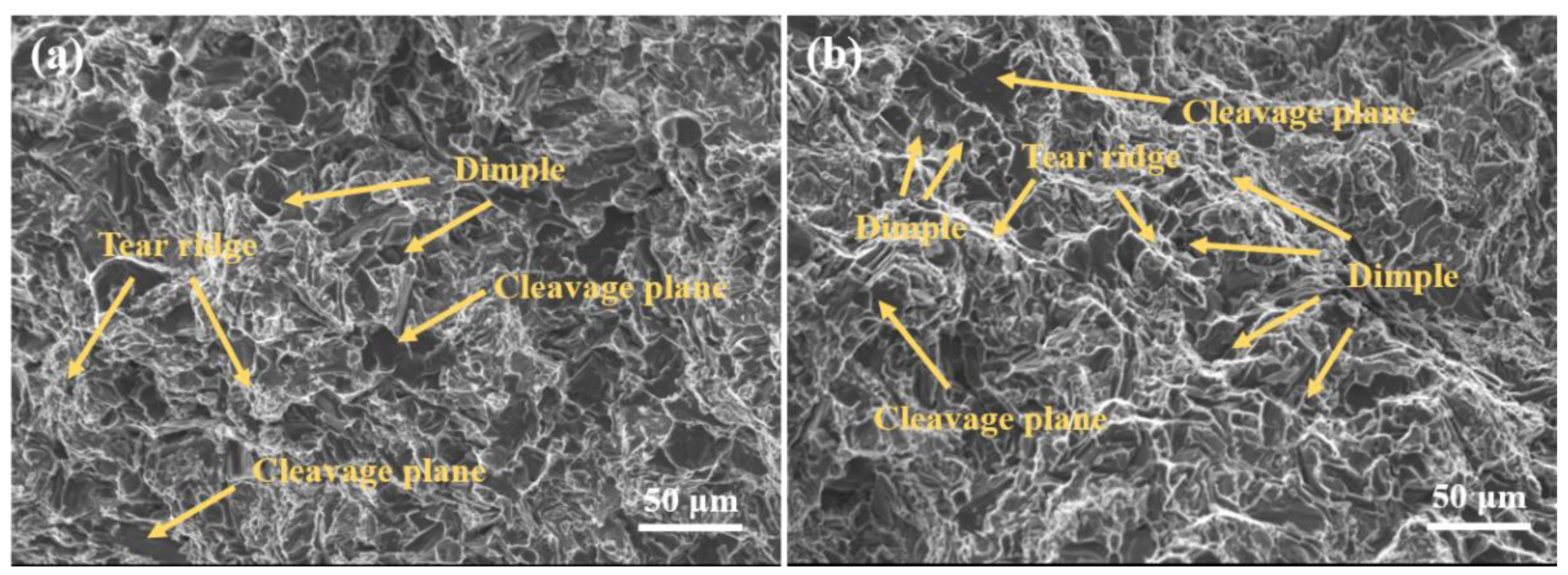 Materials 15 02507 g012