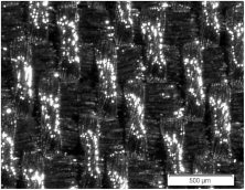 Materials 15 02512 i003 Materials 15 02512 i003