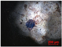 Materials 15 02534 i003