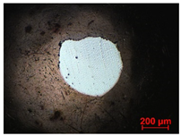 Materials 15 02534 i010