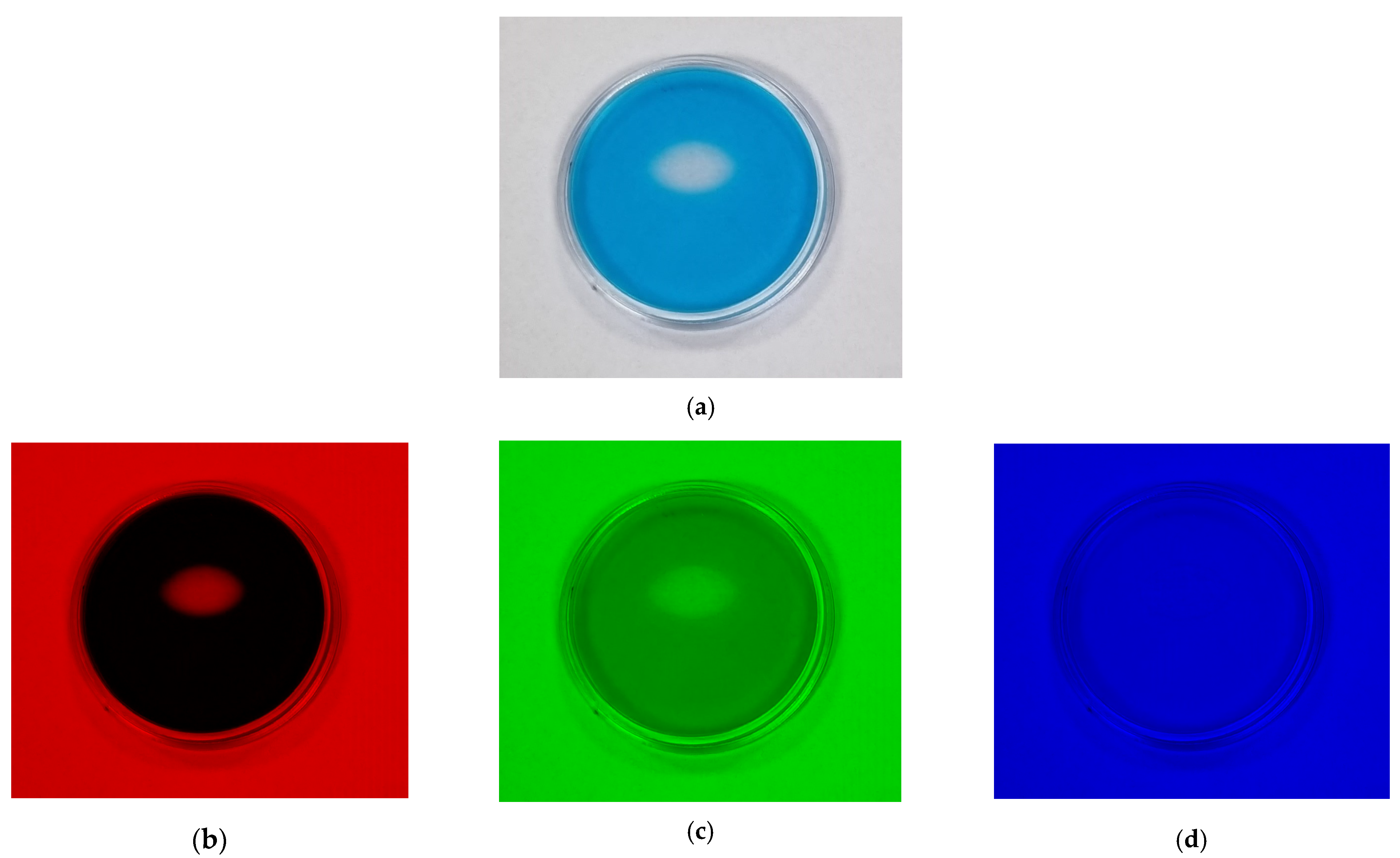 Materials 15 02546 g009