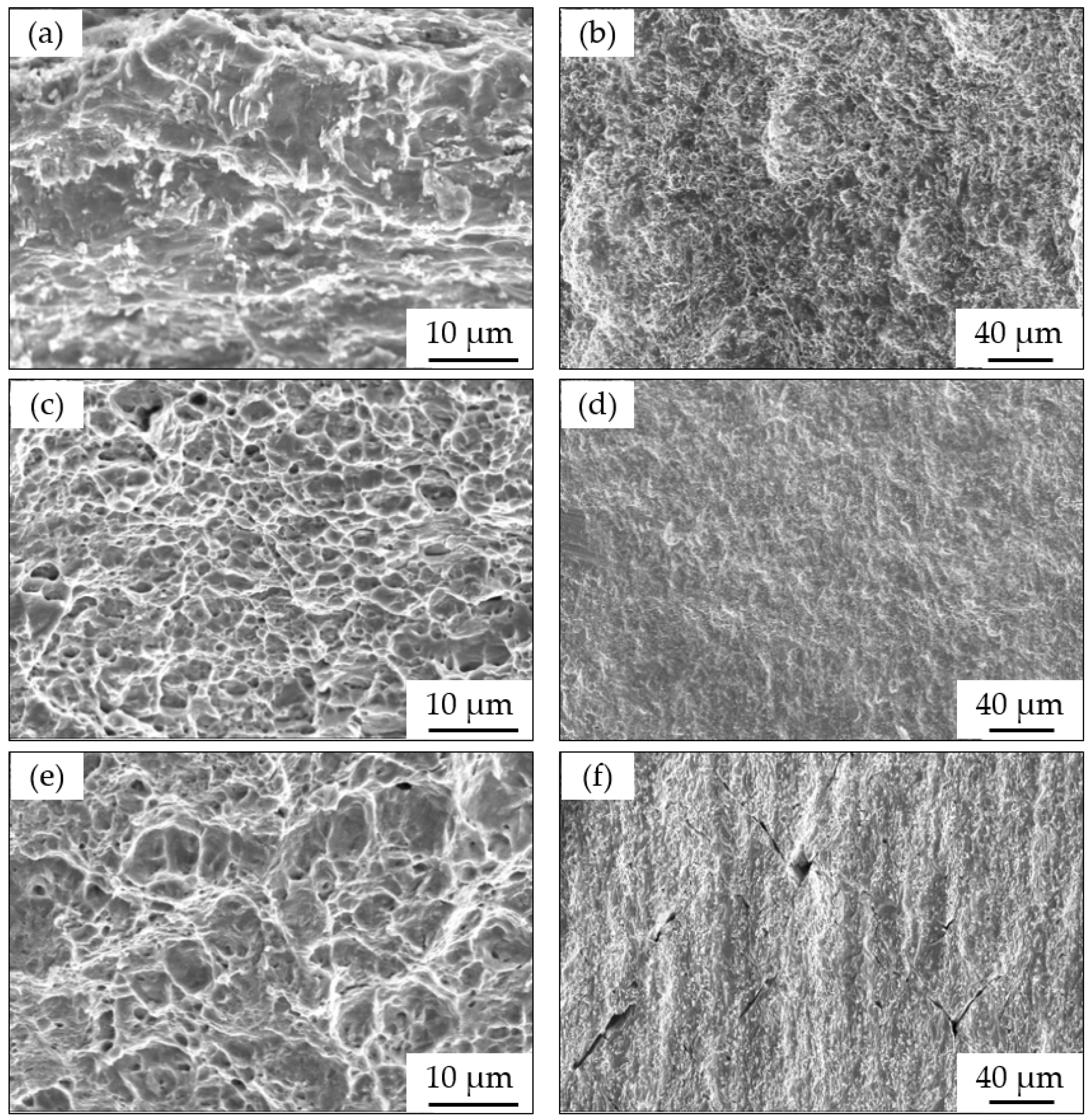 Materials 15 02560 g007