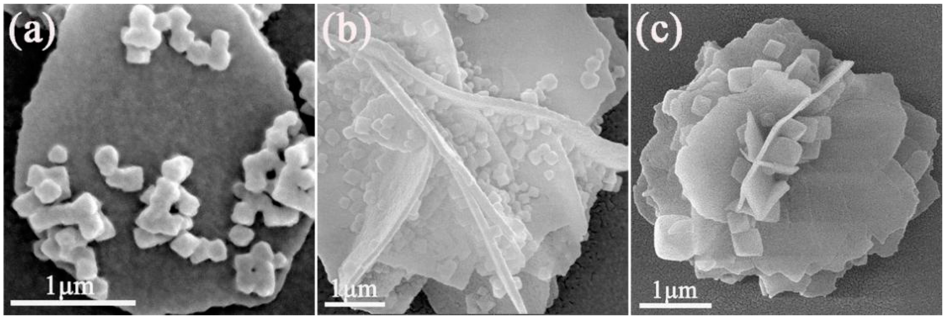 Materials 15 02564 g007