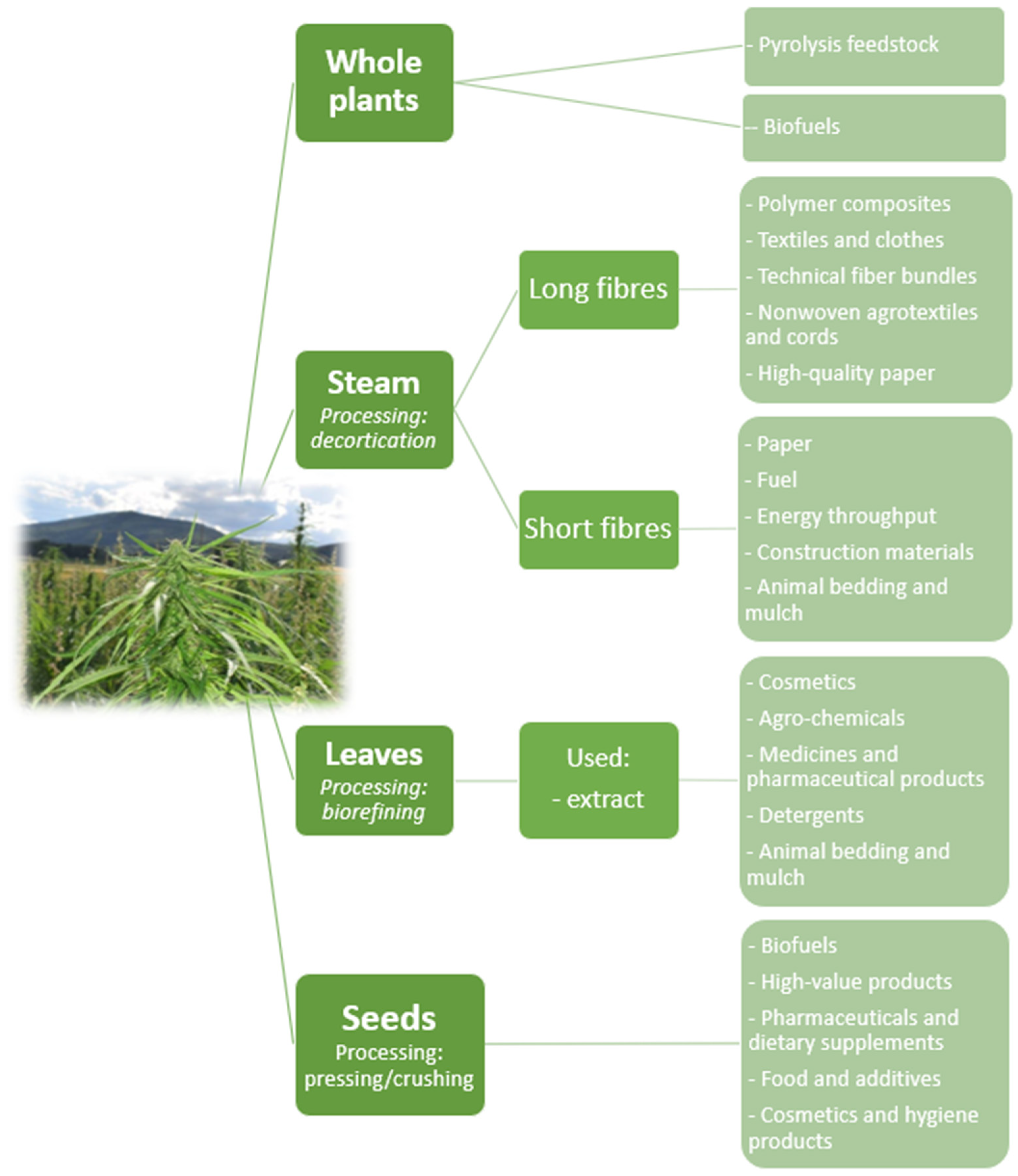 Materials 15 02565 g006