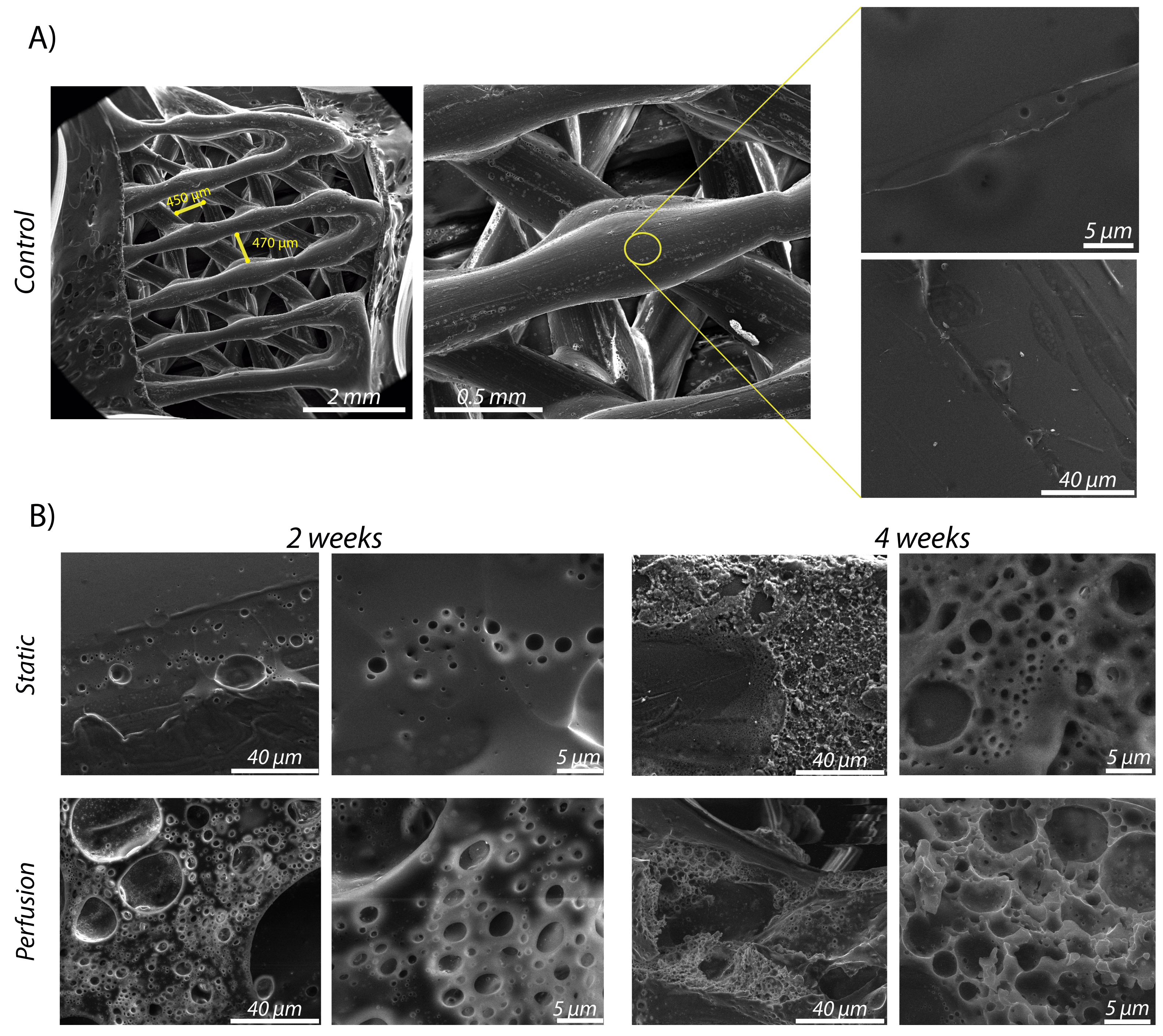Materials 15 02572 g004