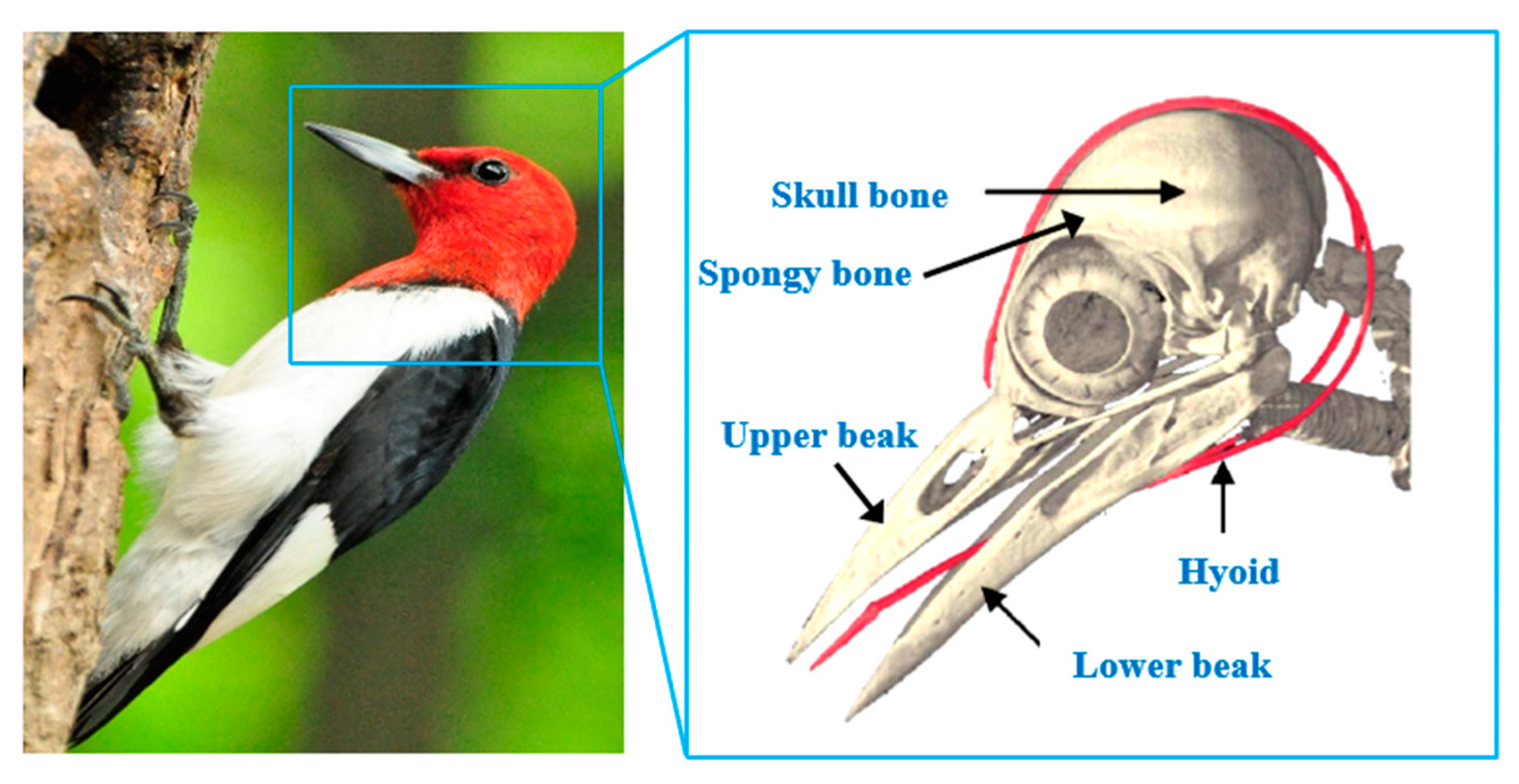 Materials 15 02598 g002