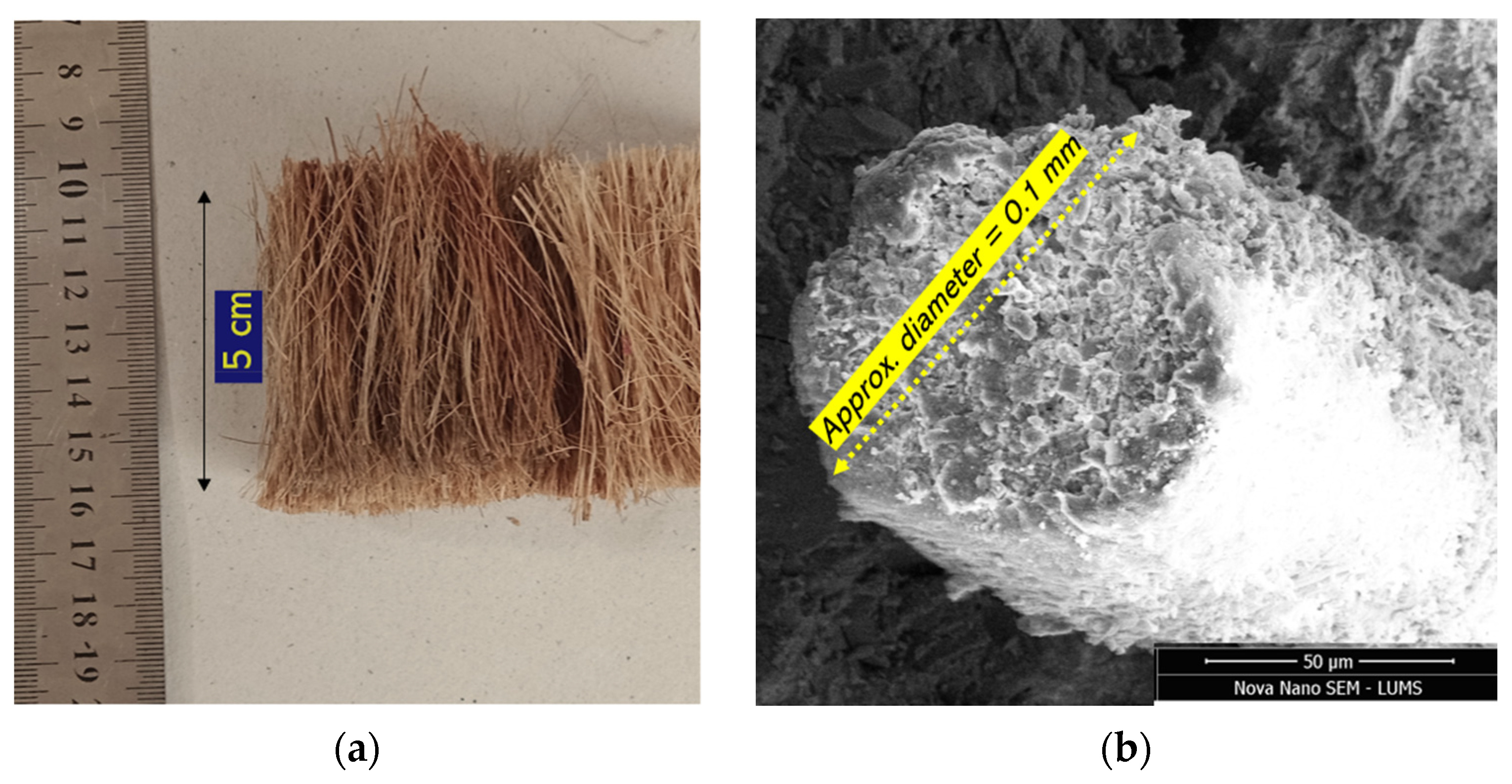 Materials 15 02616 g003